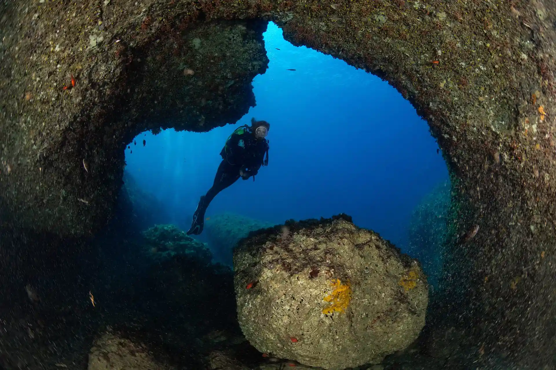 Photo du site de plongée