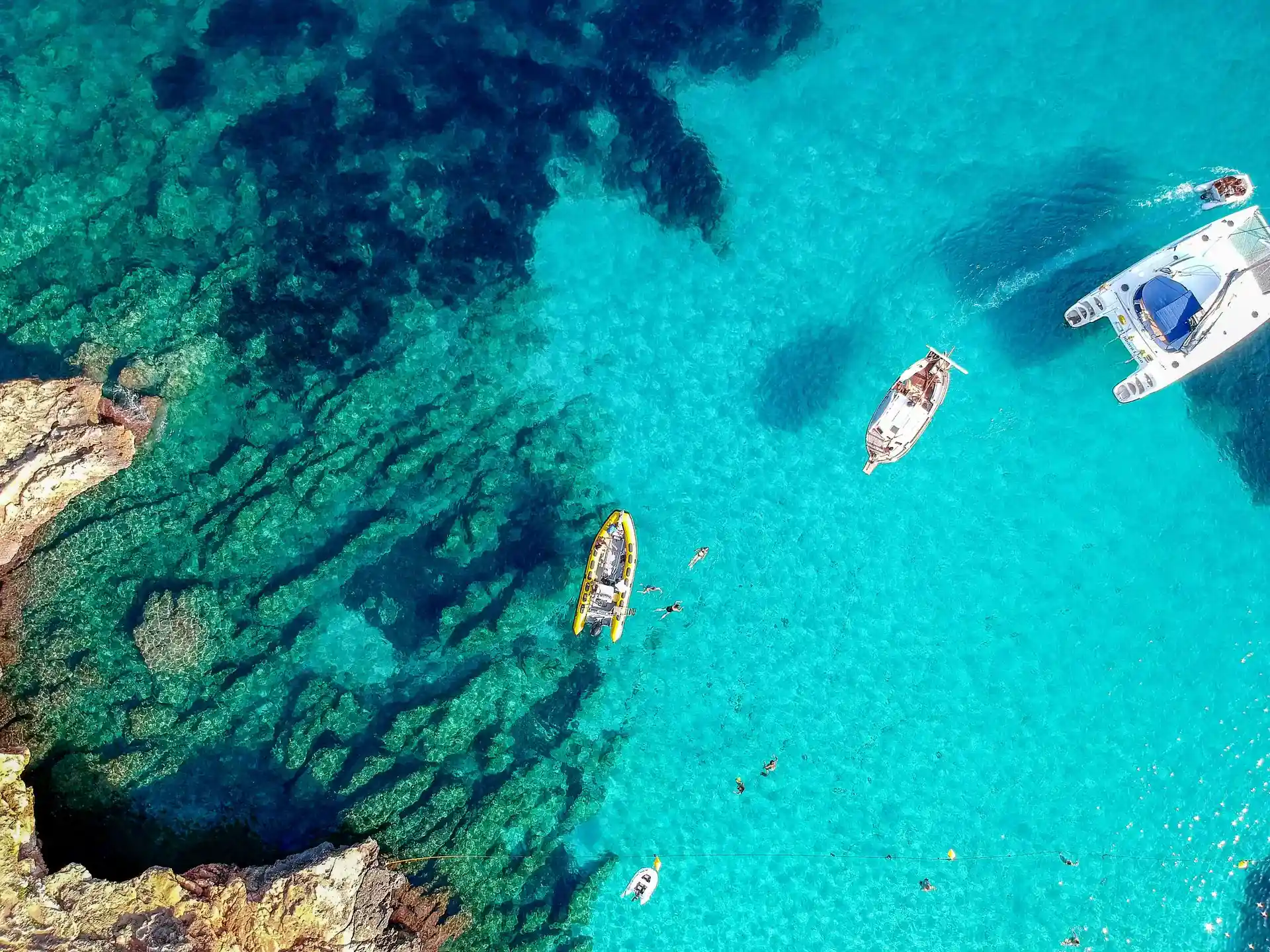 Photo de l'activité