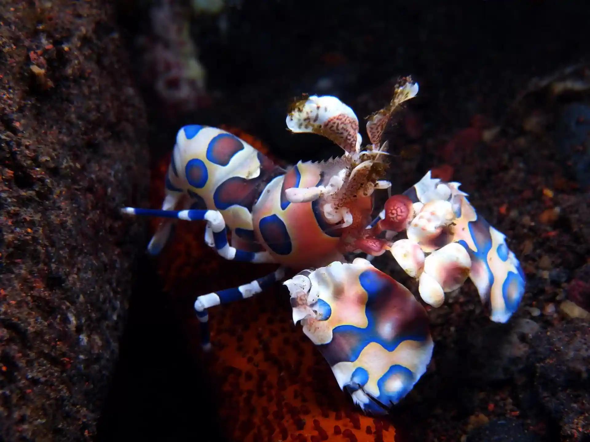 Dive site photo