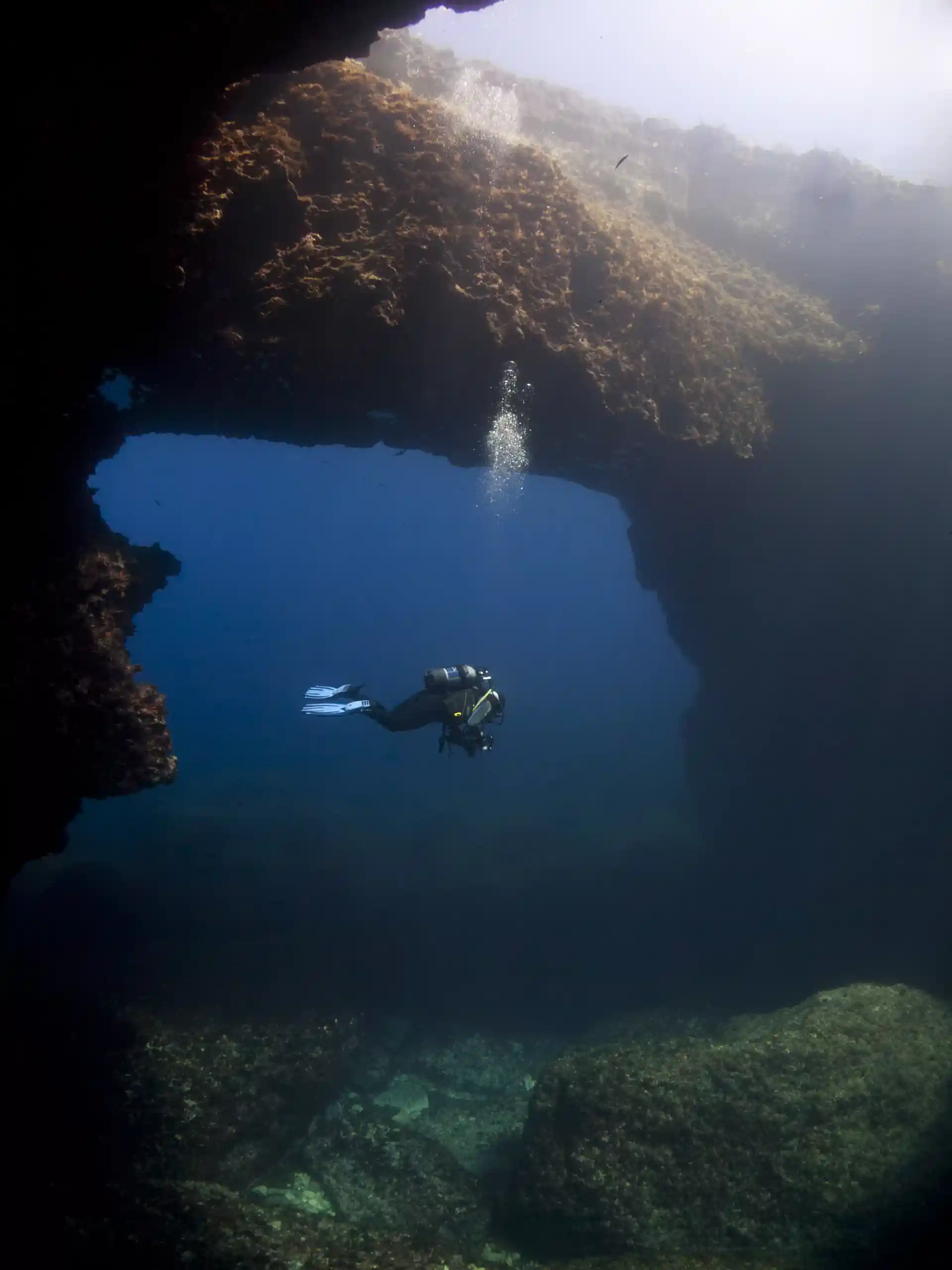 Photo de l'activité