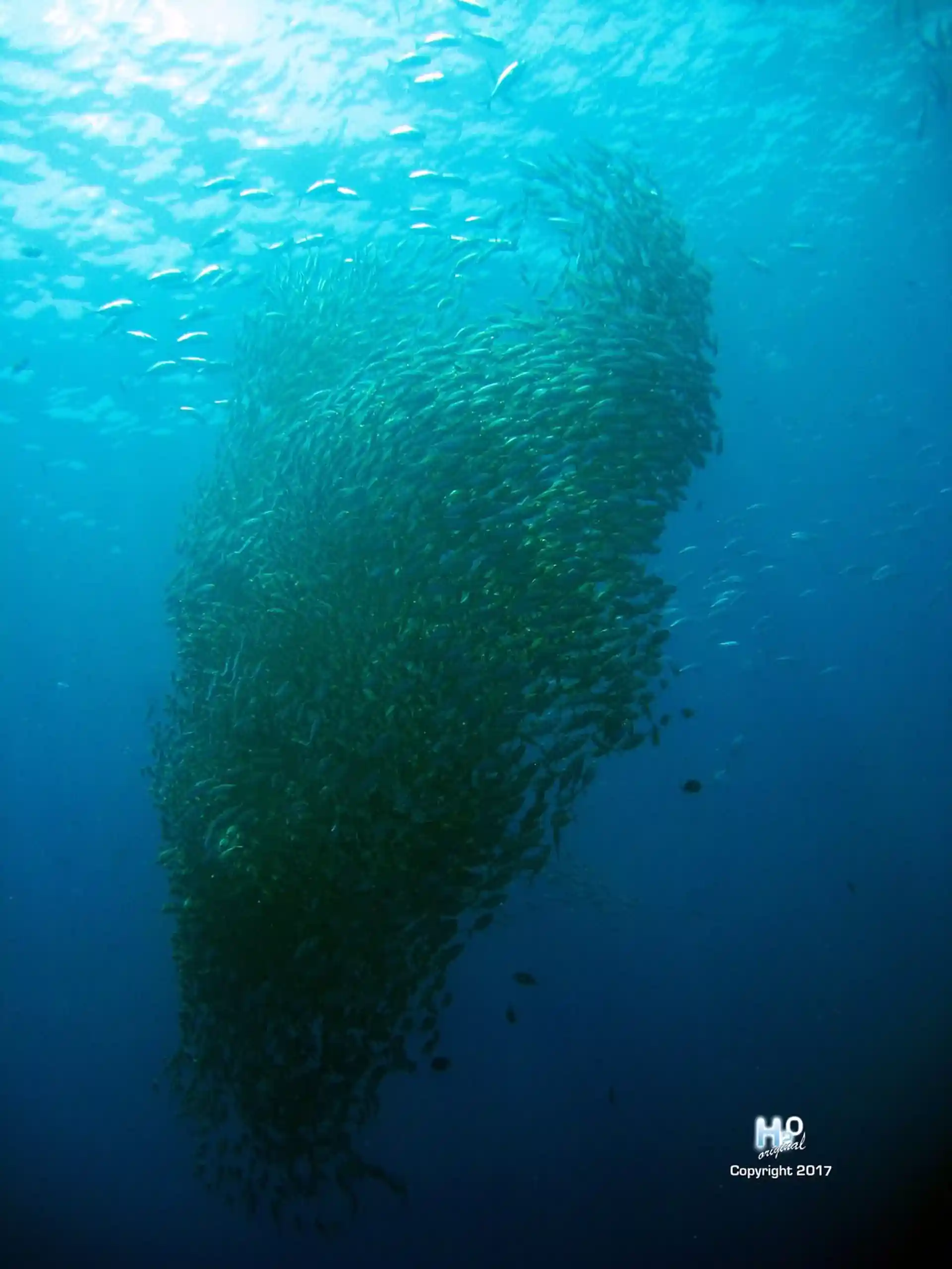 Dive site photo