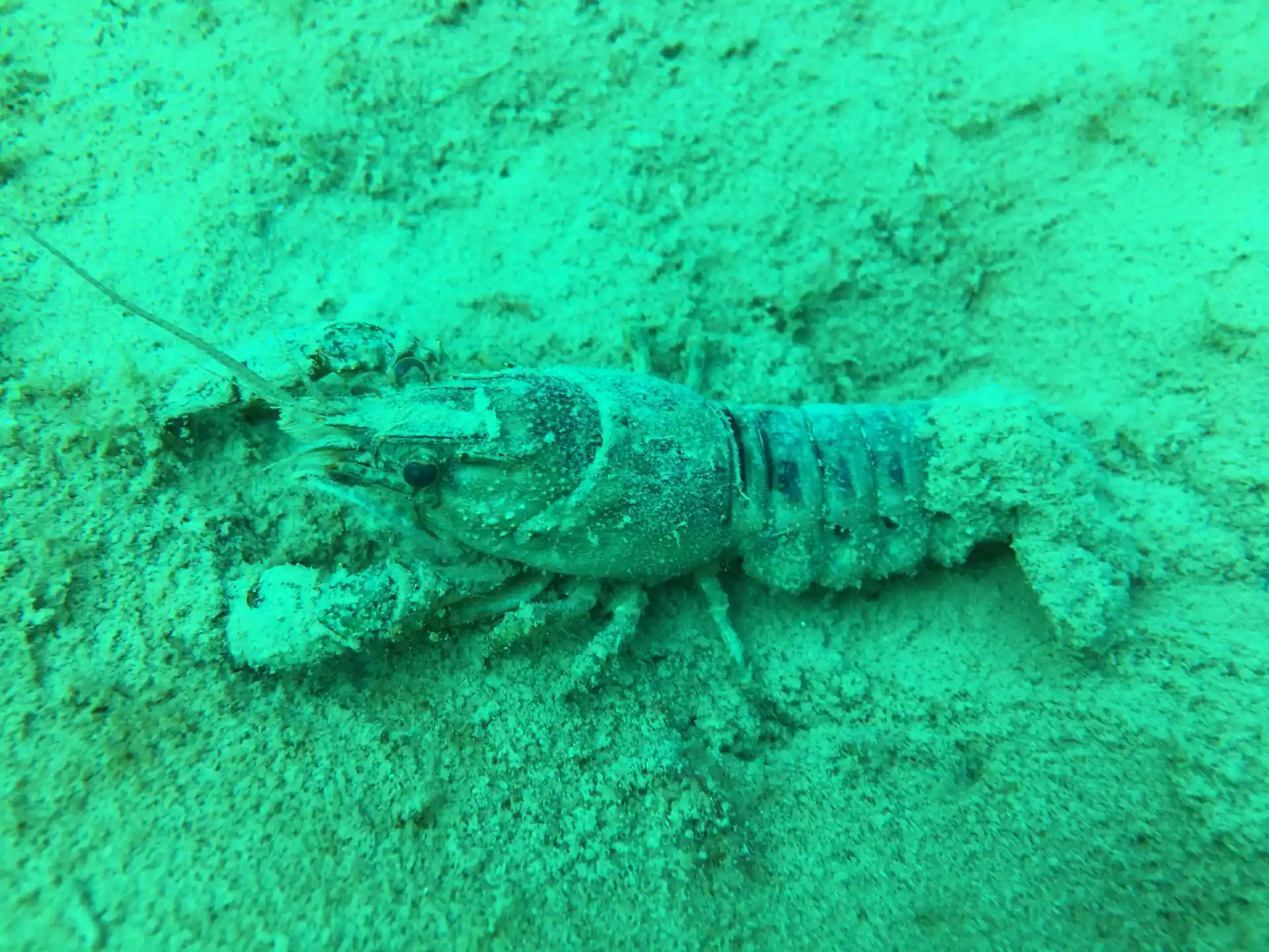 Dive shop photo