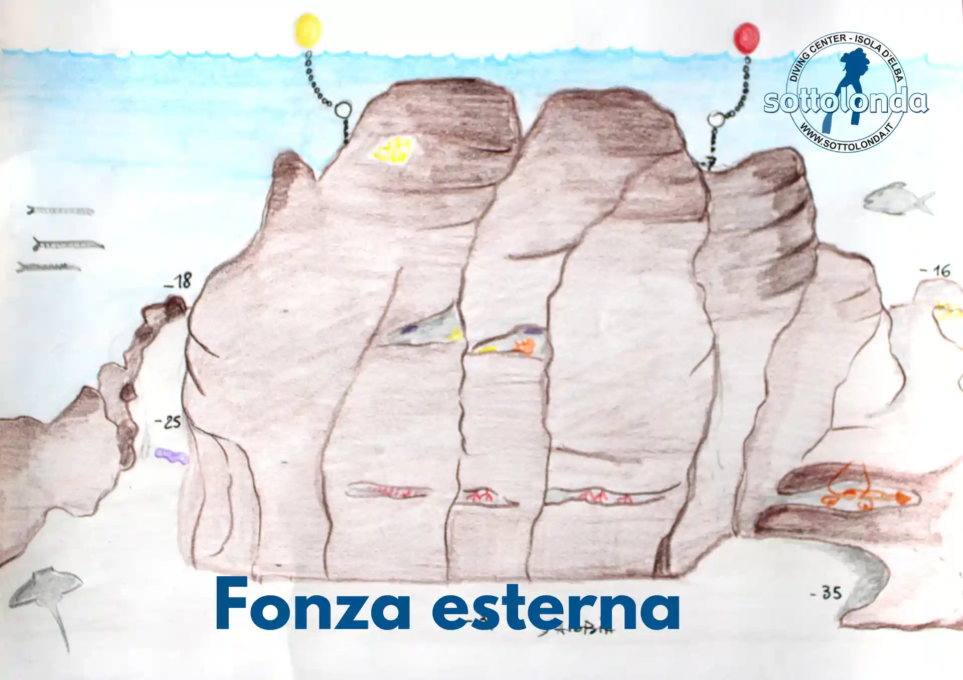 다이빙 포인트 사진