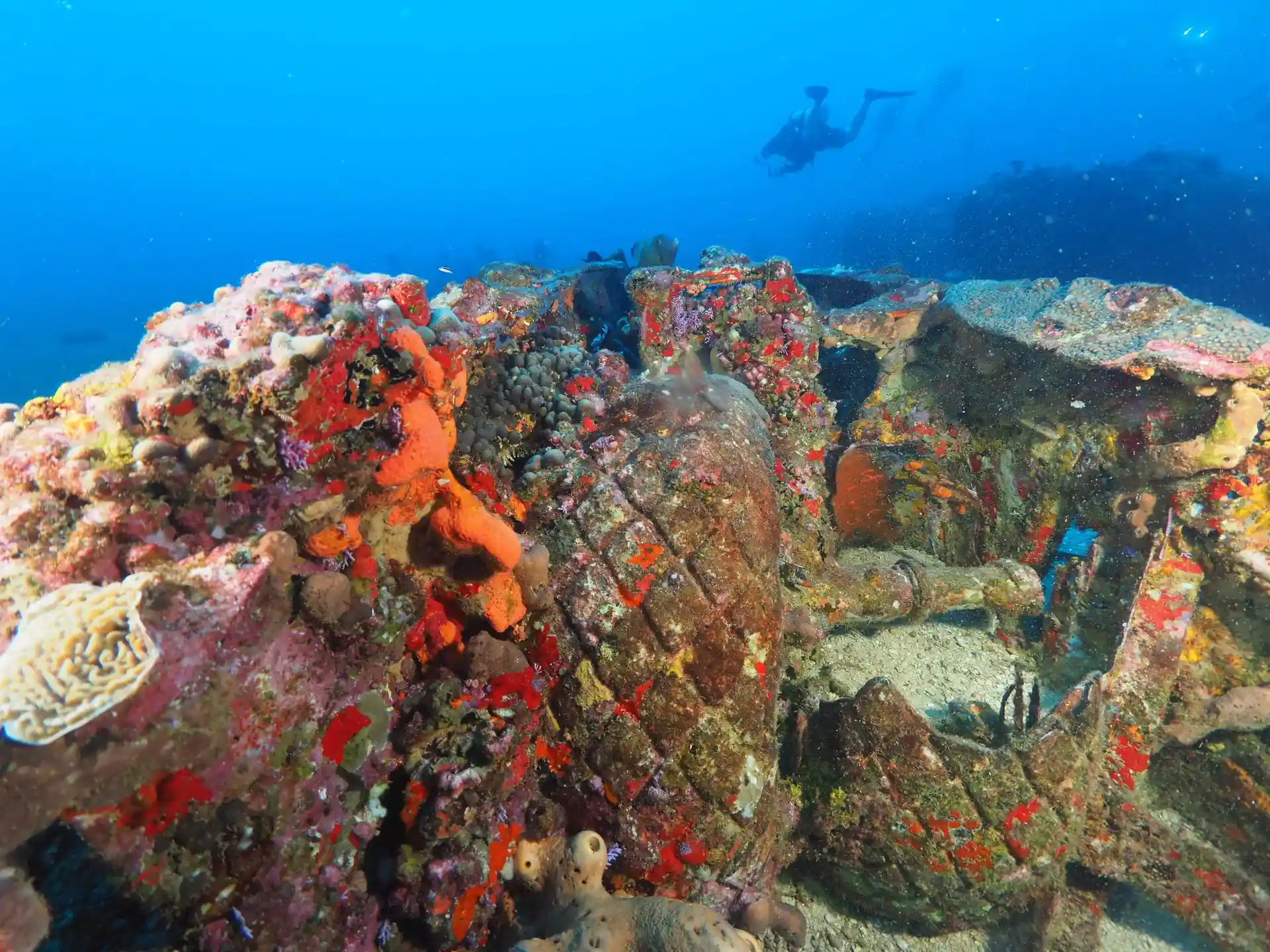 Dive site photo