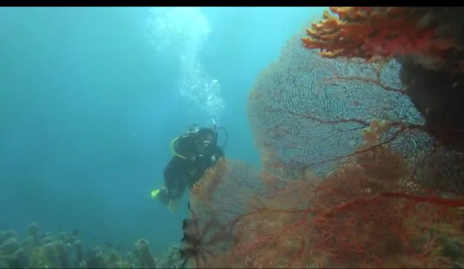 다이빙 포인트 사진