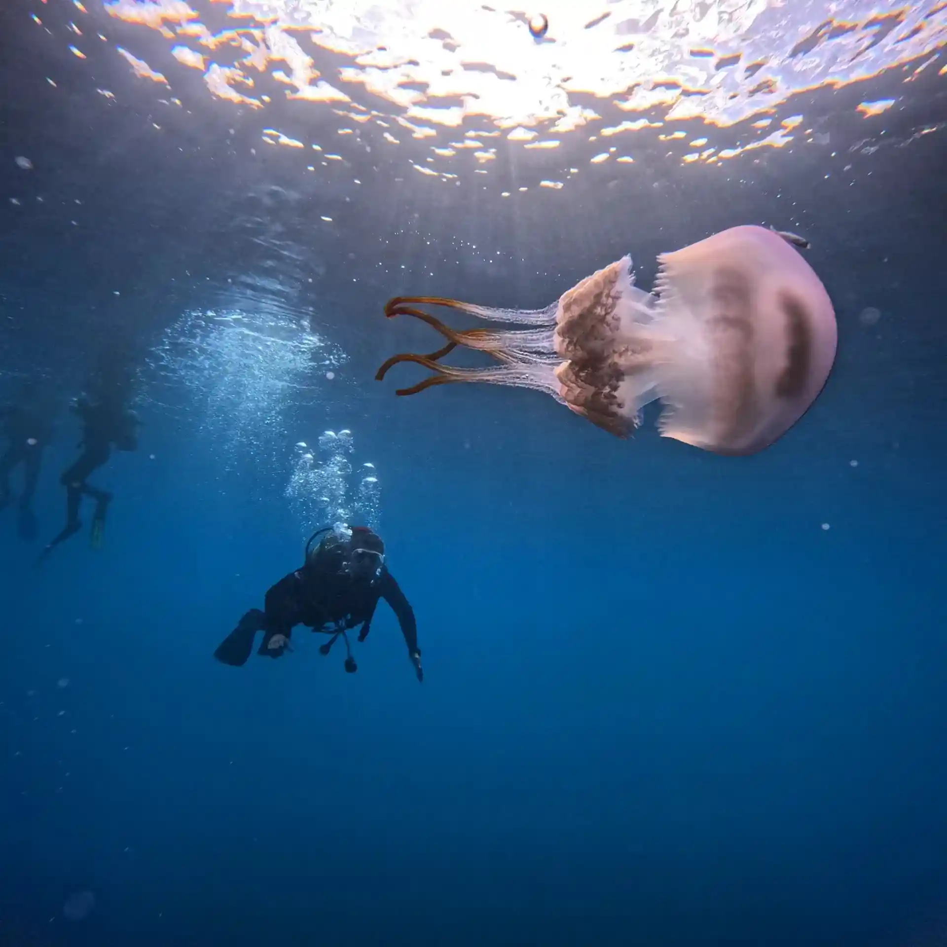 fun dives