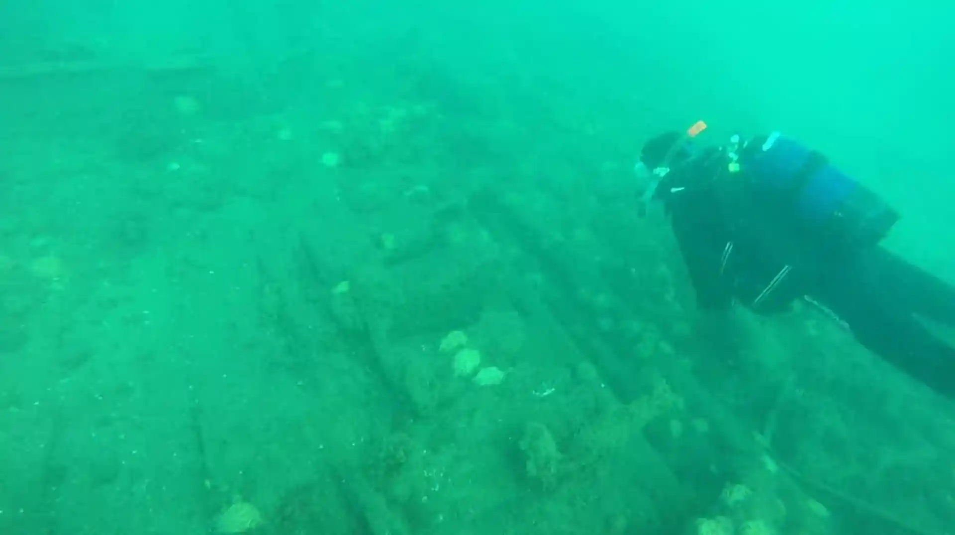 ダイビングサイトの写真