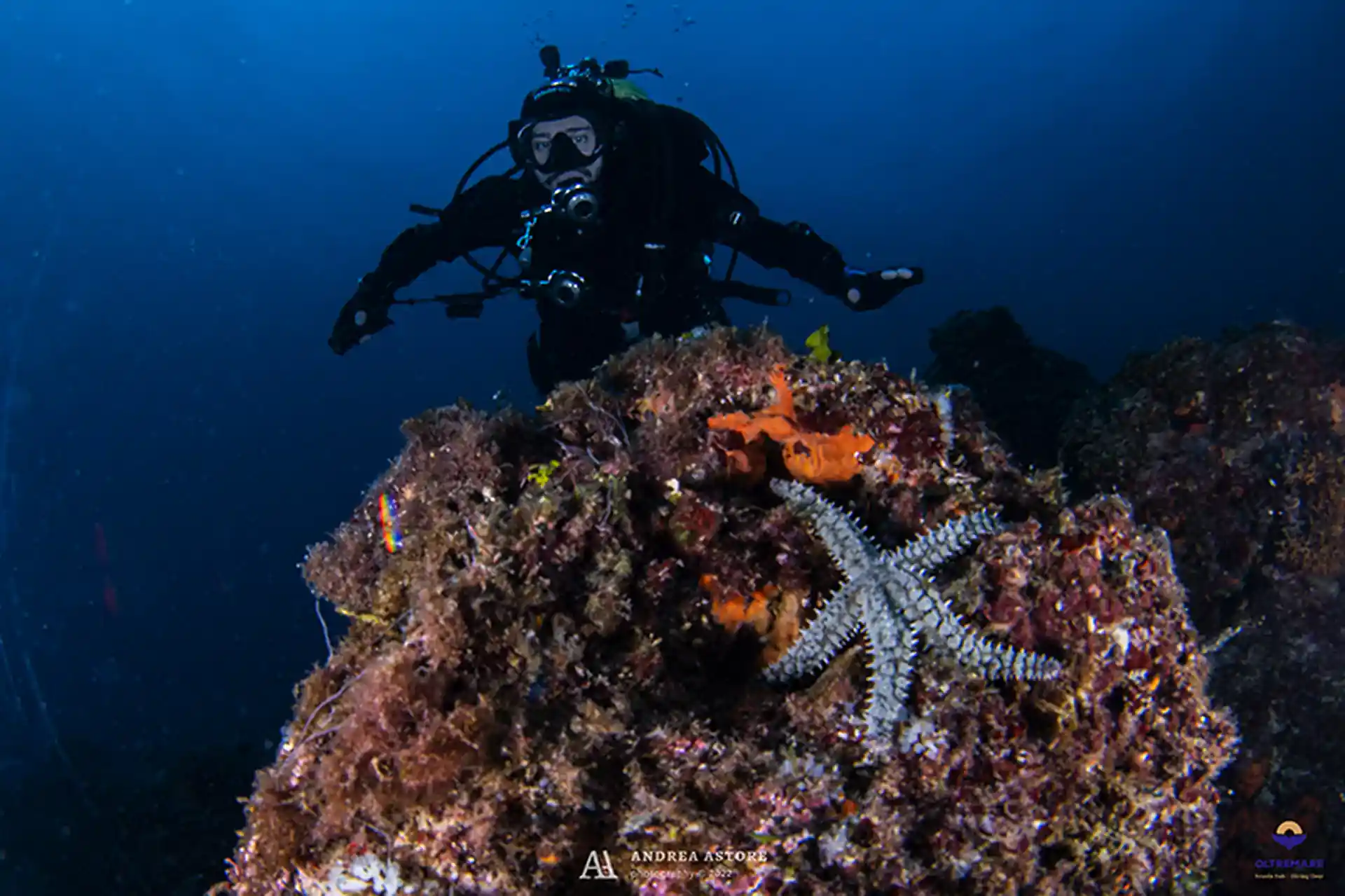 Foto des Tauchplatzes