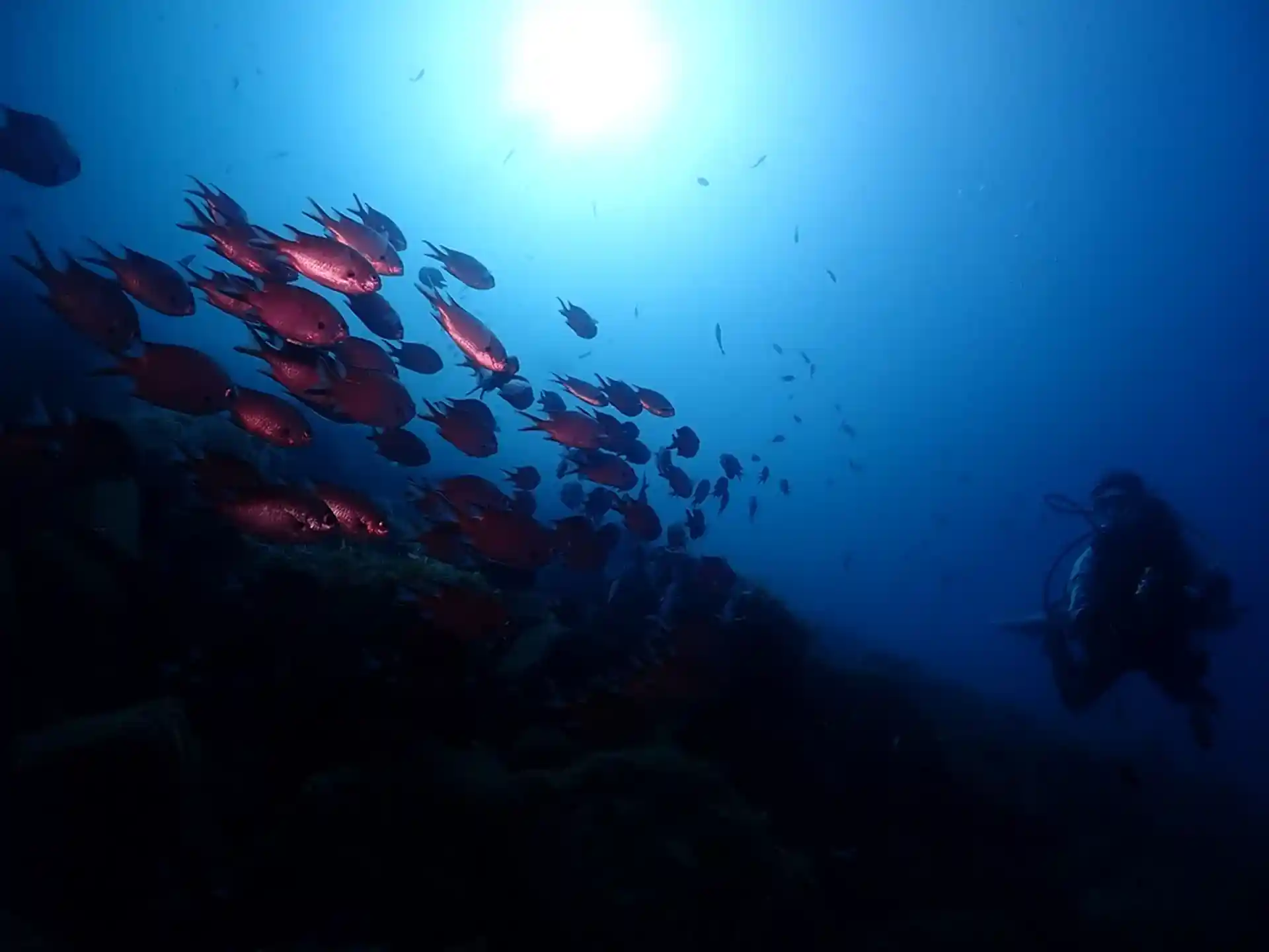 Dive site photo