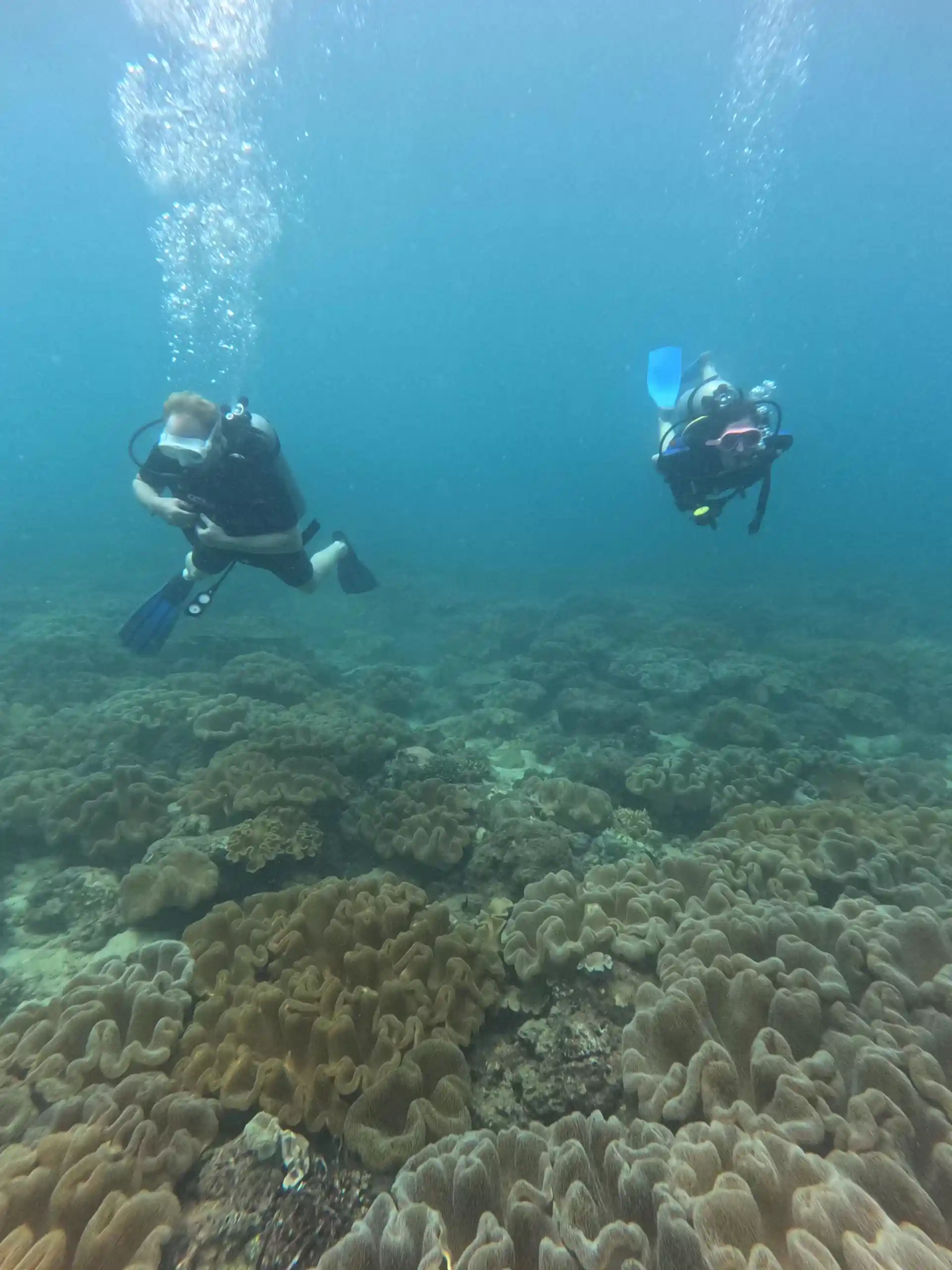 Dive shop photo