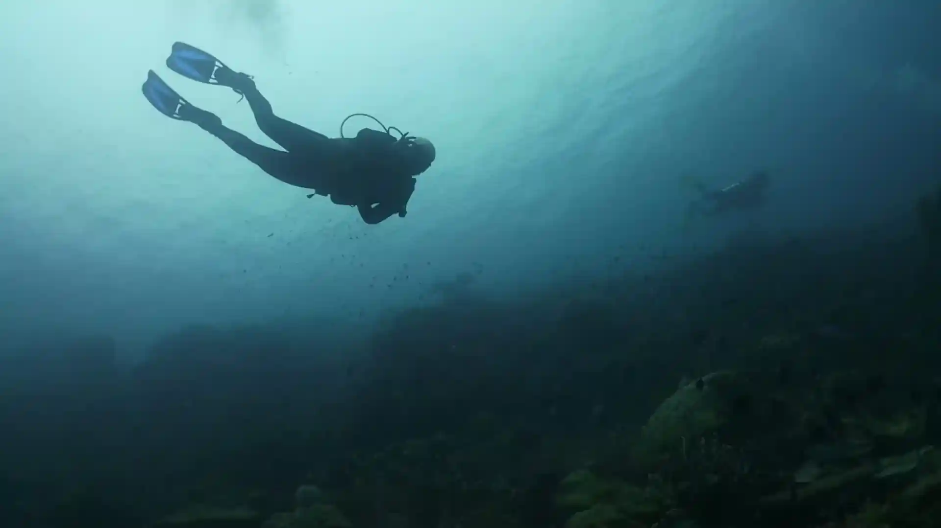 Dive site photo