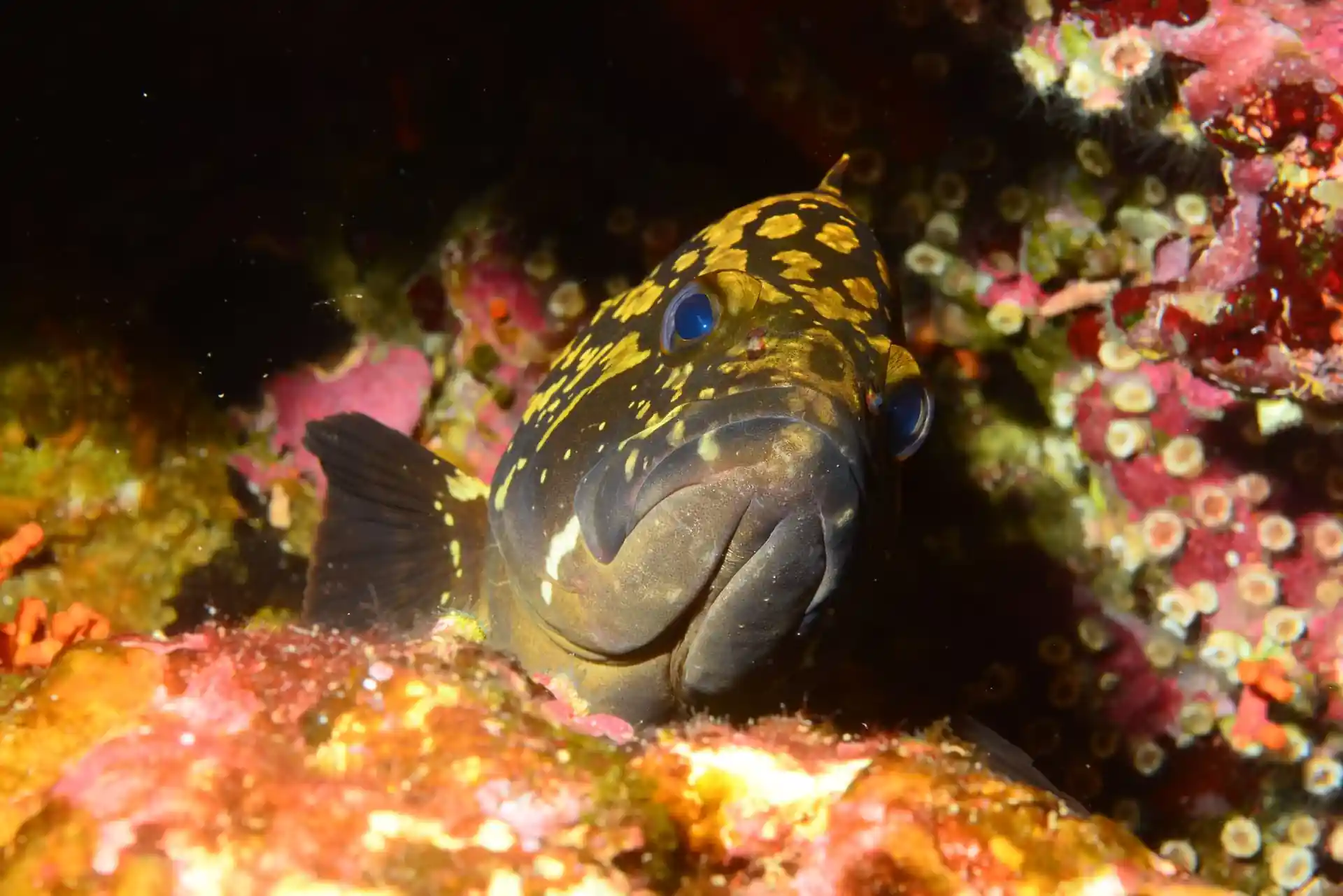 Dive site photo