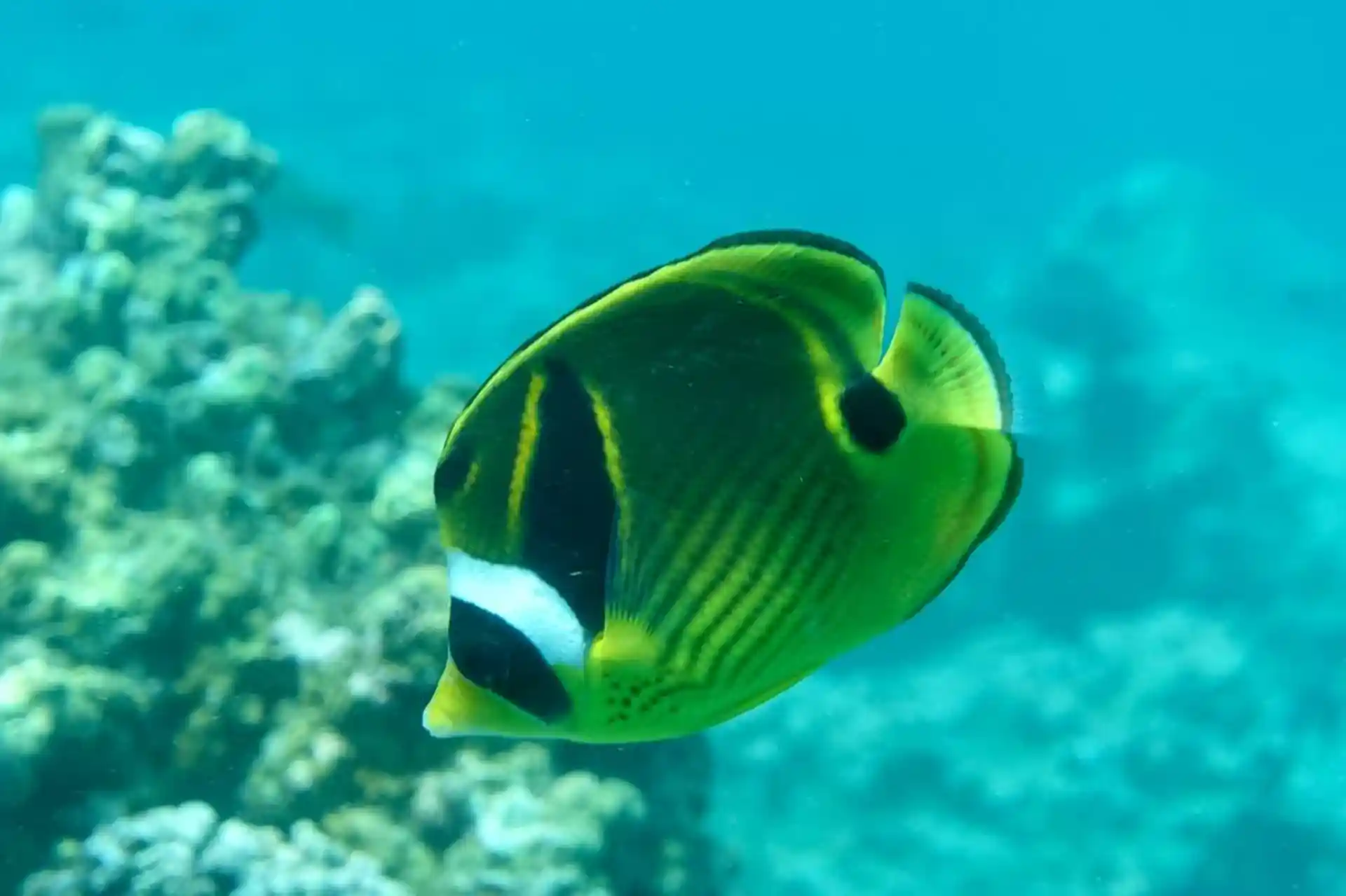Dive site photo
