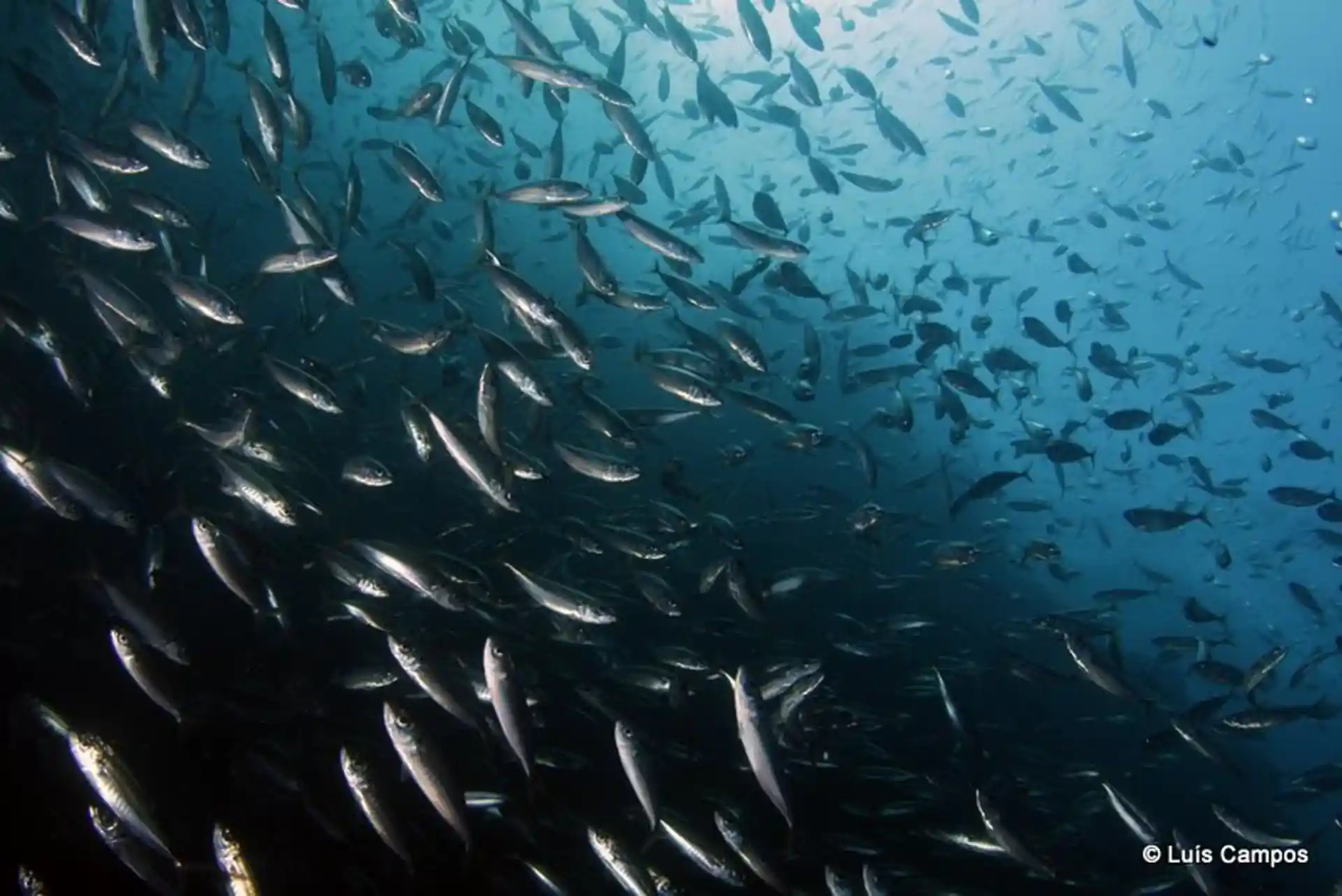 Dive site photo