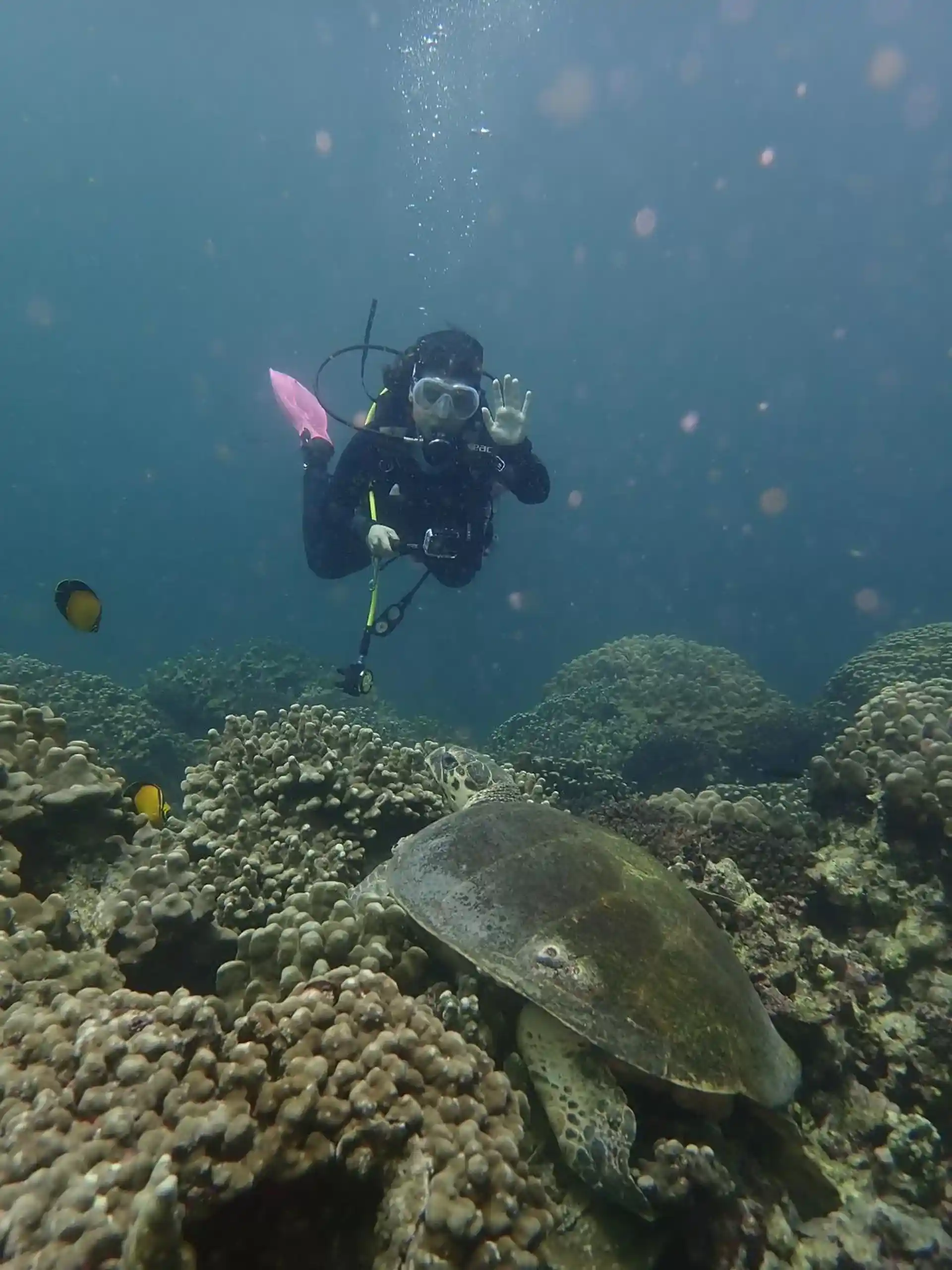Dive site photo