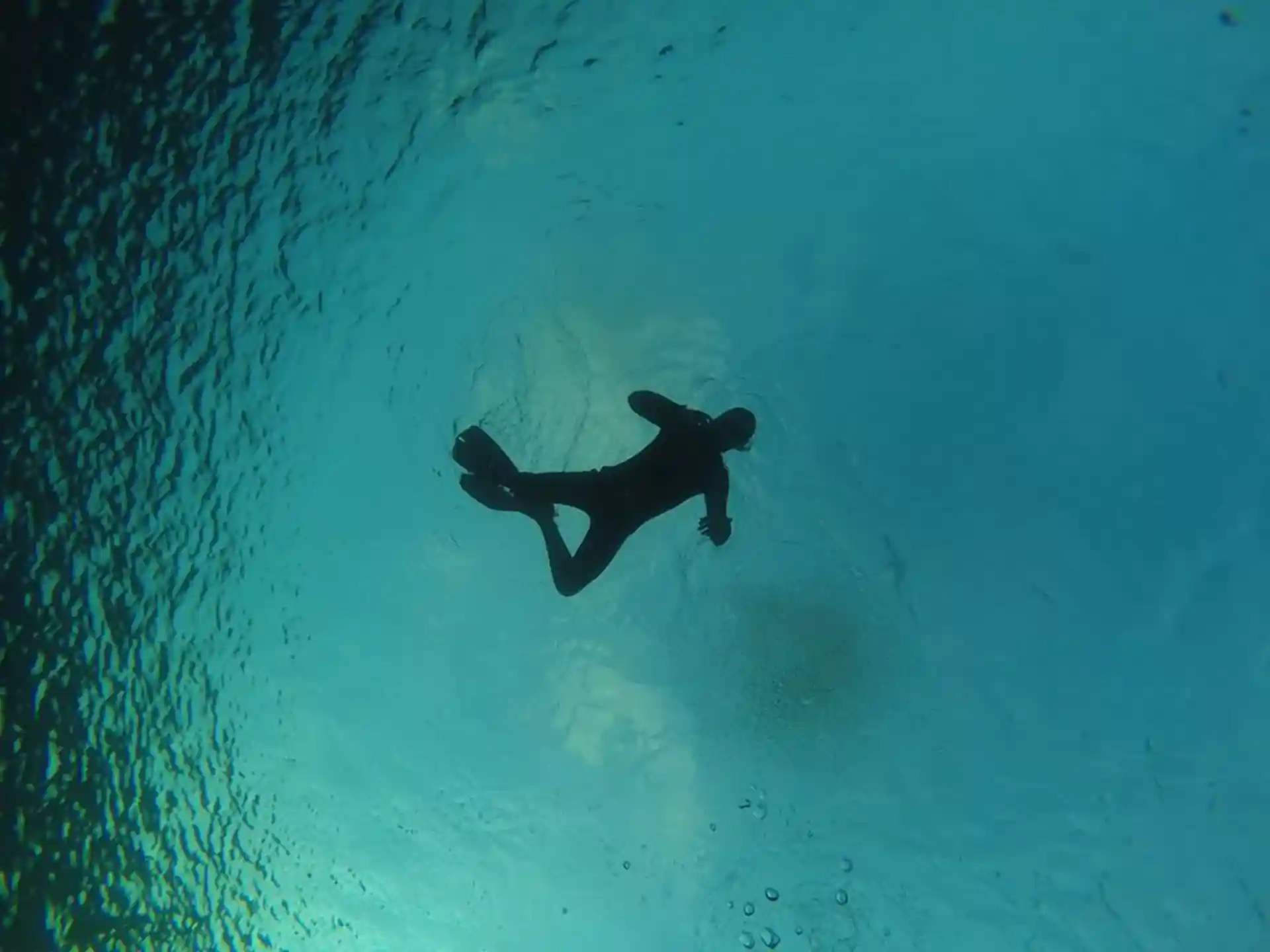 Foto de la actividad