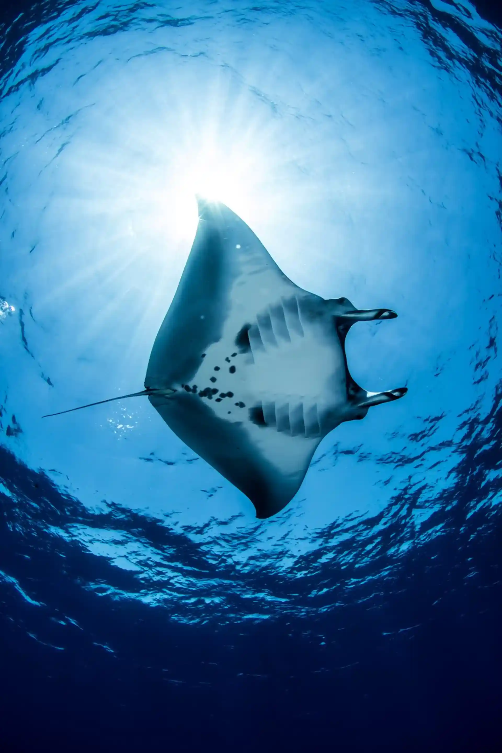 Dive site photo