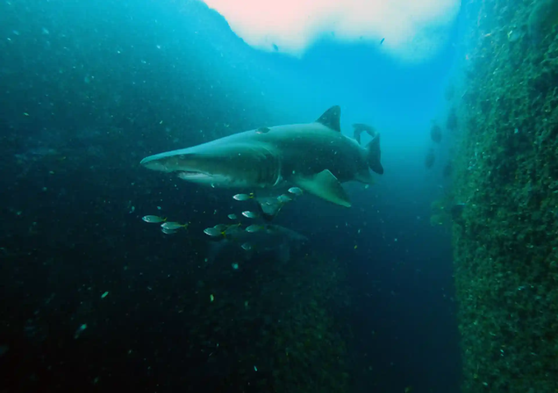 Dive site photo