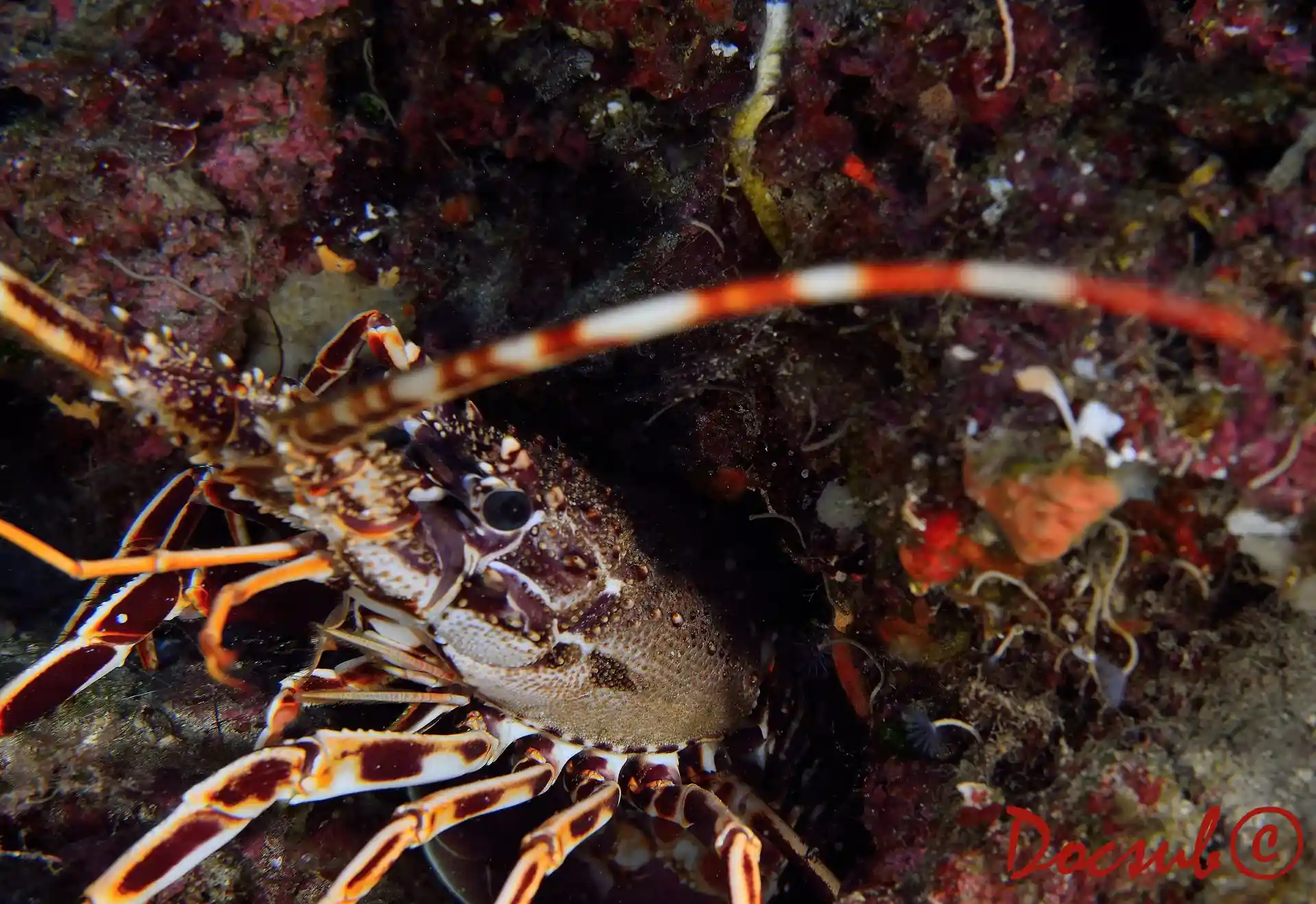 Foto des Tauchplatzes