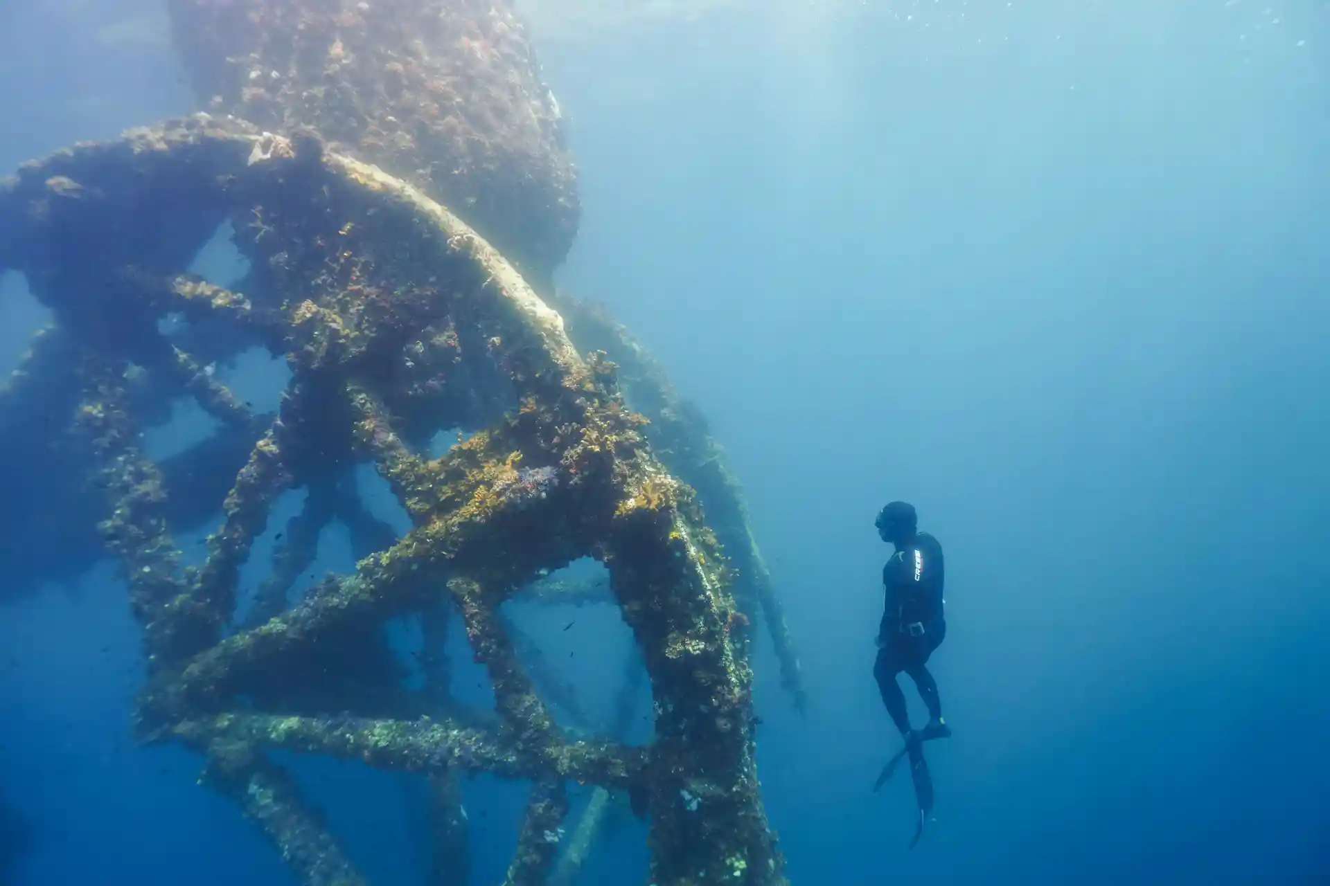 Foto de la actividad