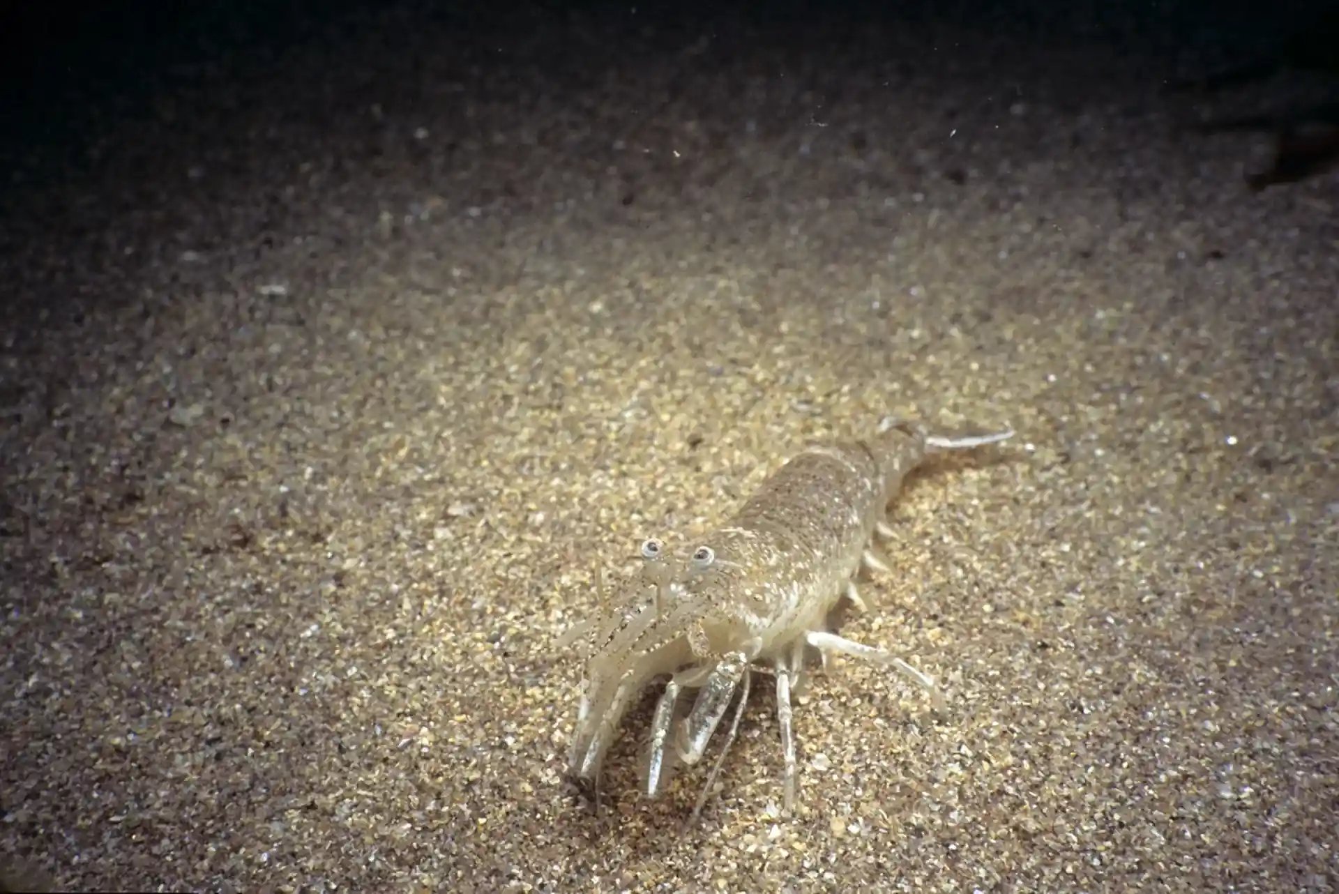 Foto des Tauchplatzes