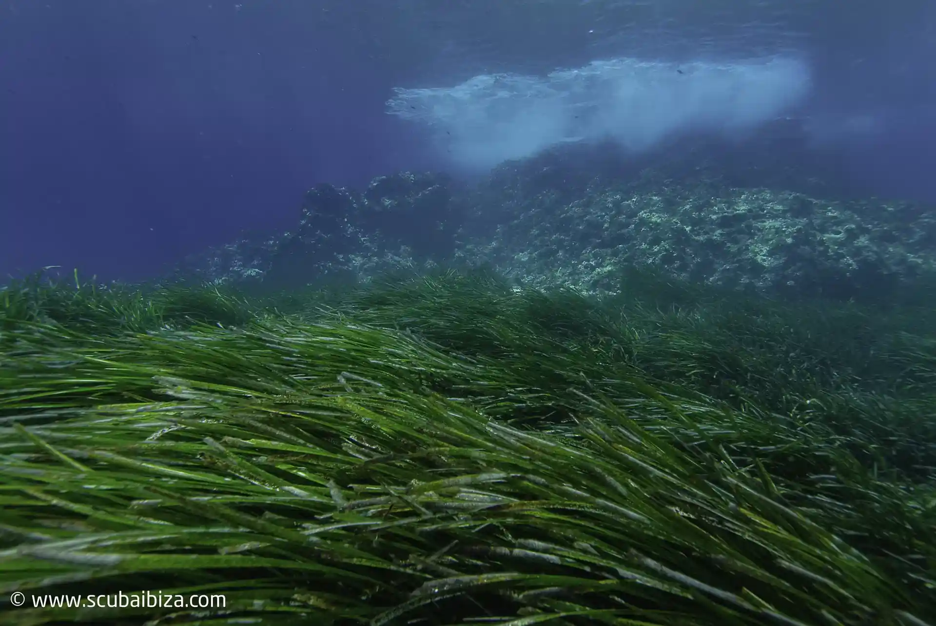 Photo du site de plongée