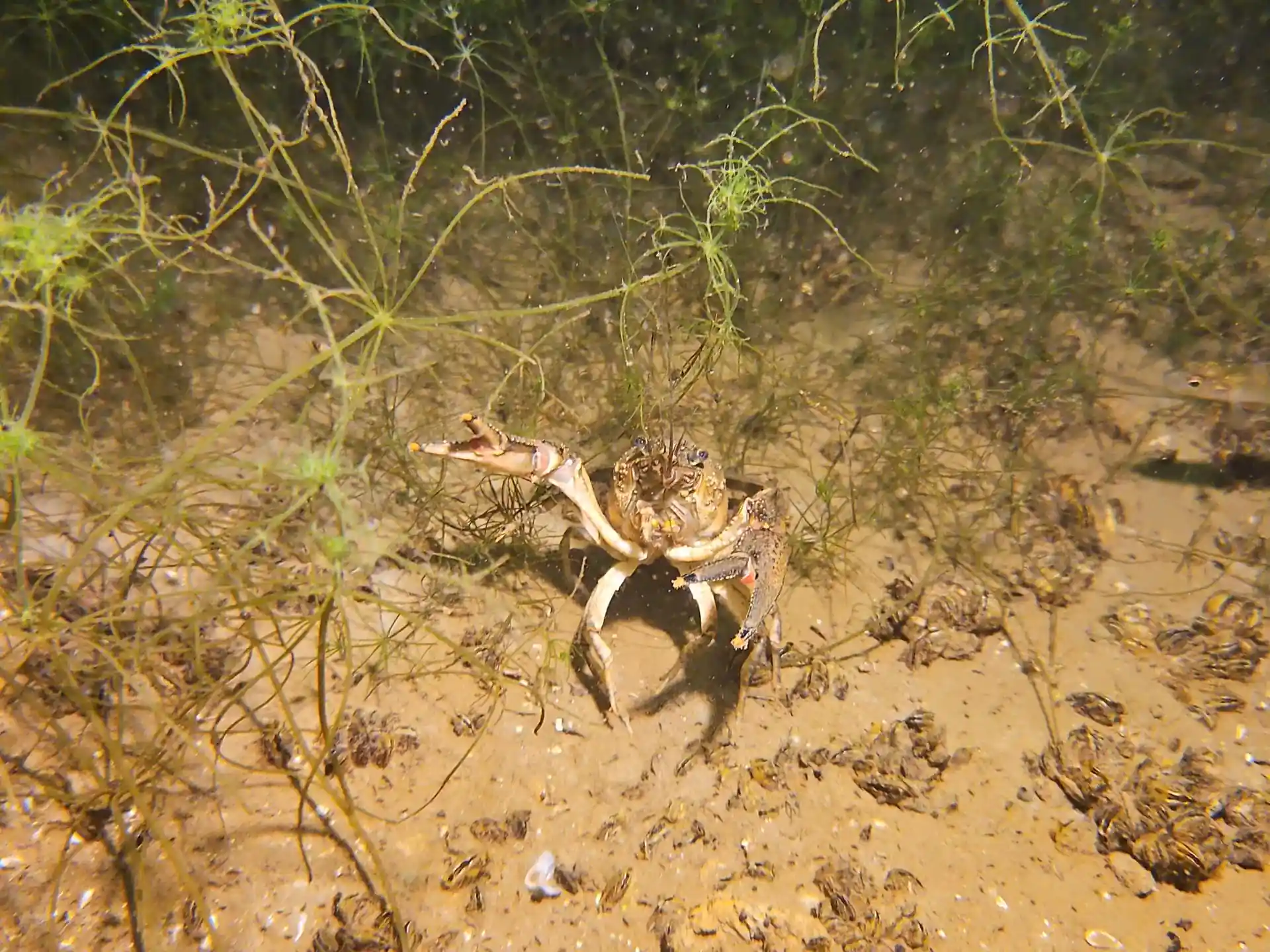 Dive site photo