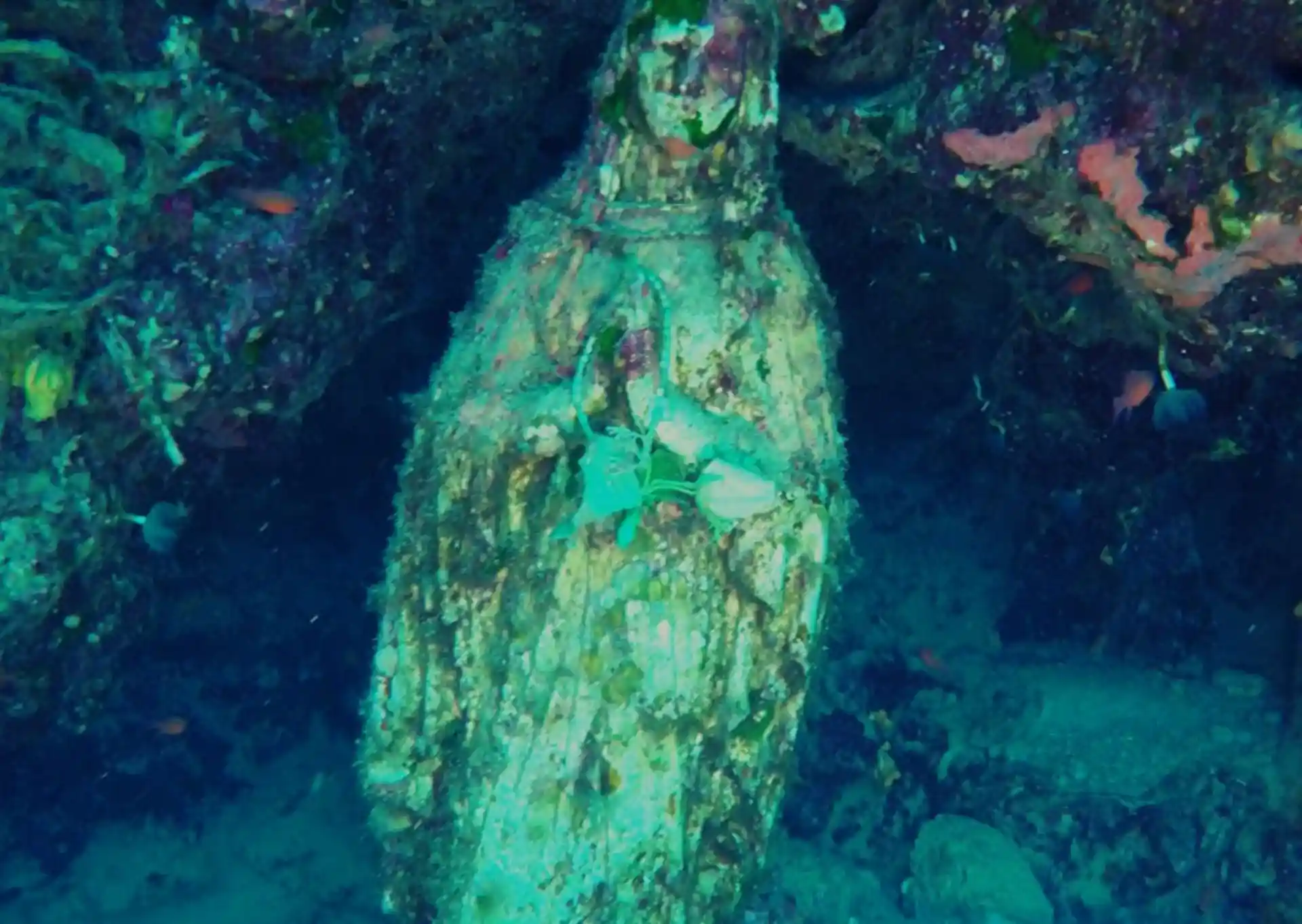 Dive site photo