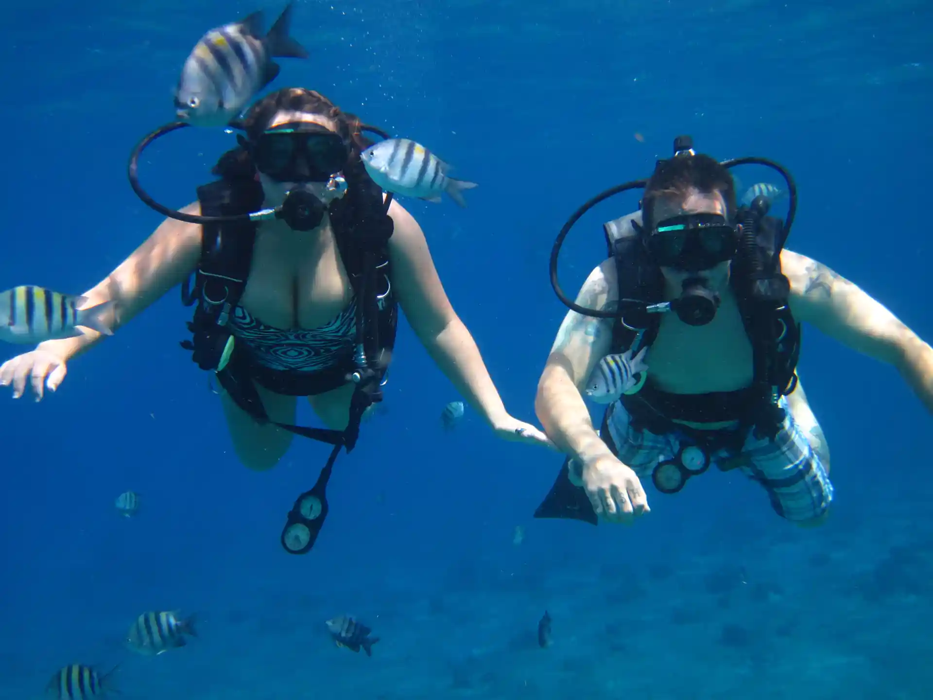 It’s a wonderful introduction to diving for snorkelers who are ready for a little more excitement
