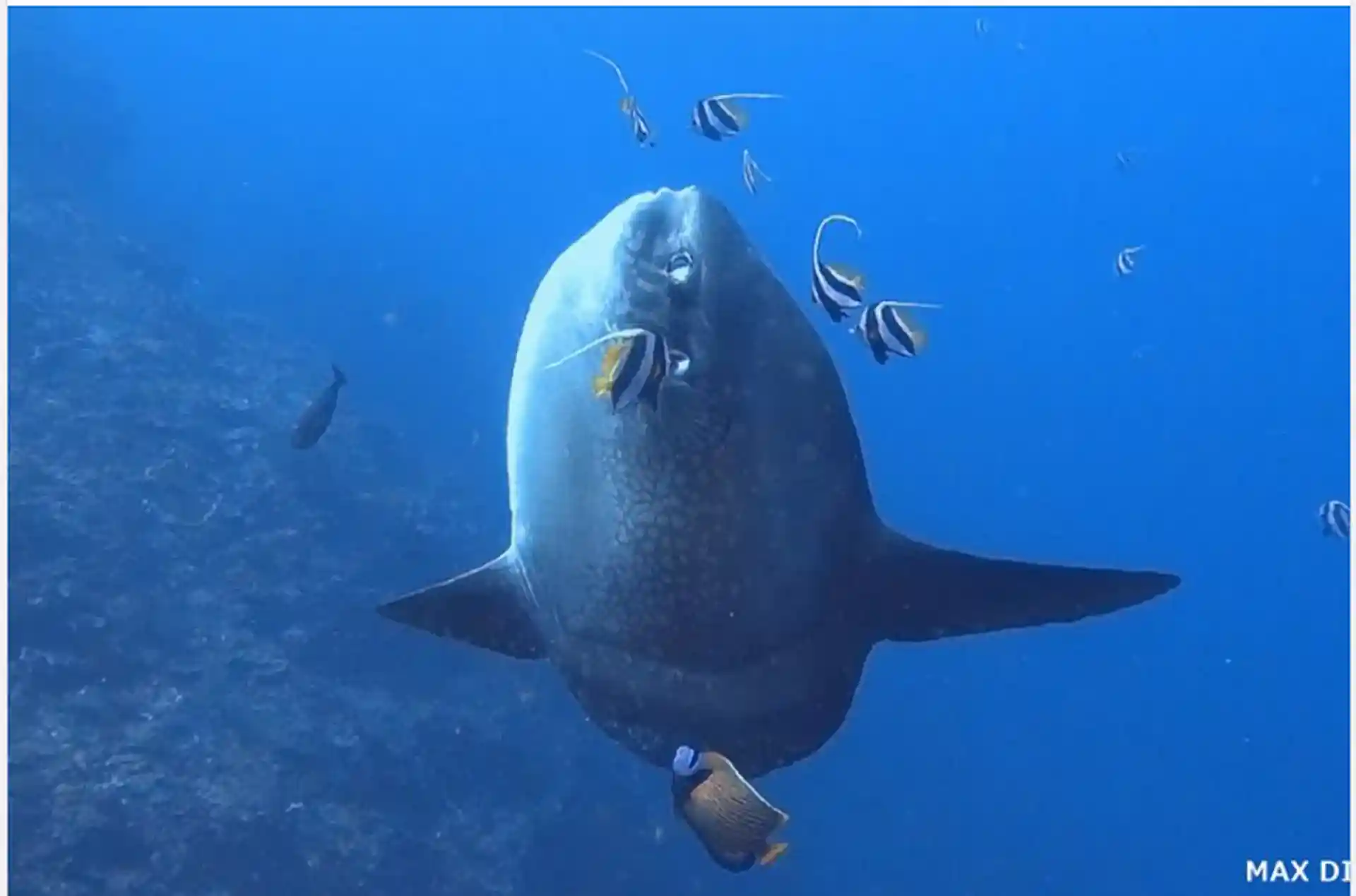 Dive shop photo