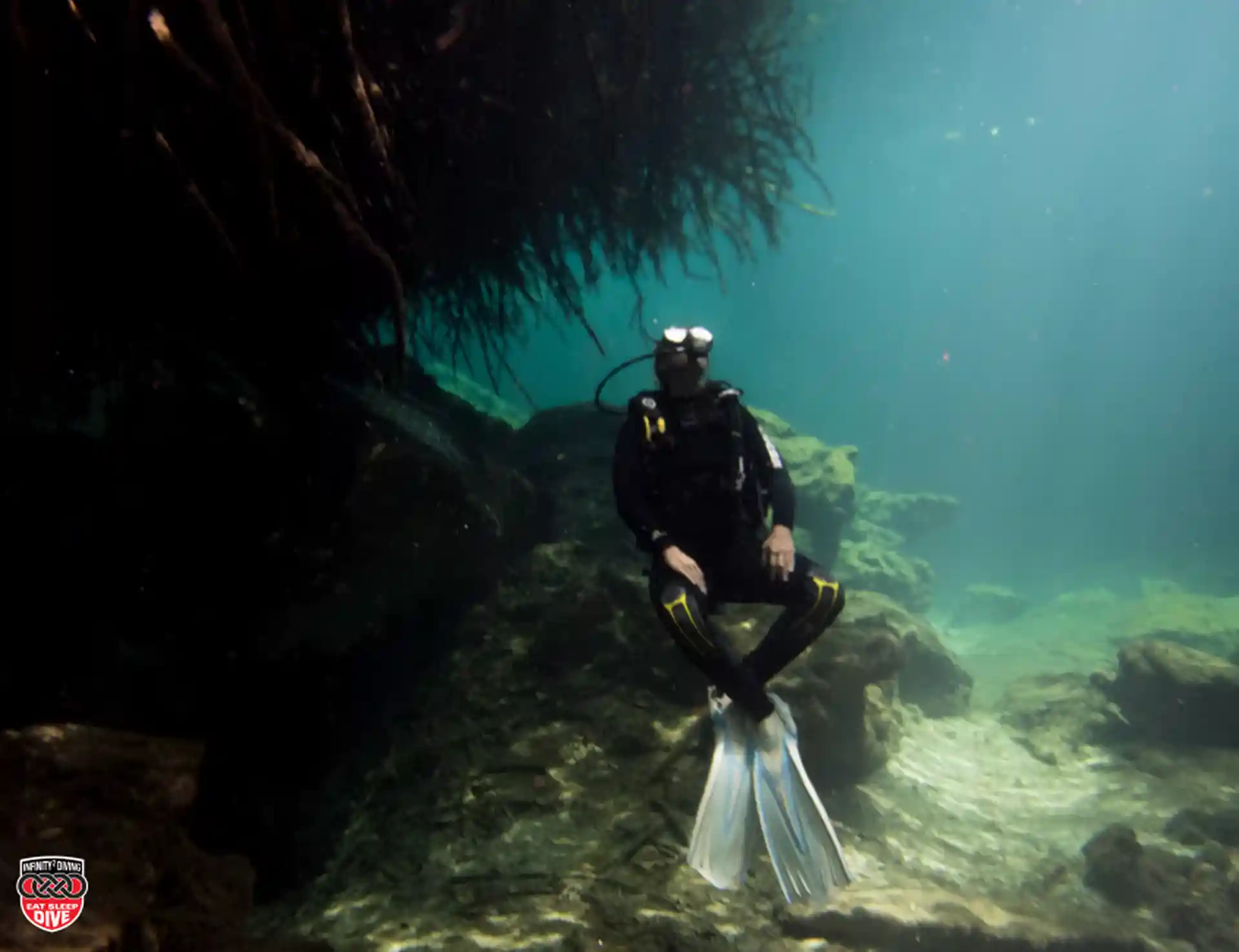 Photo de l'activité