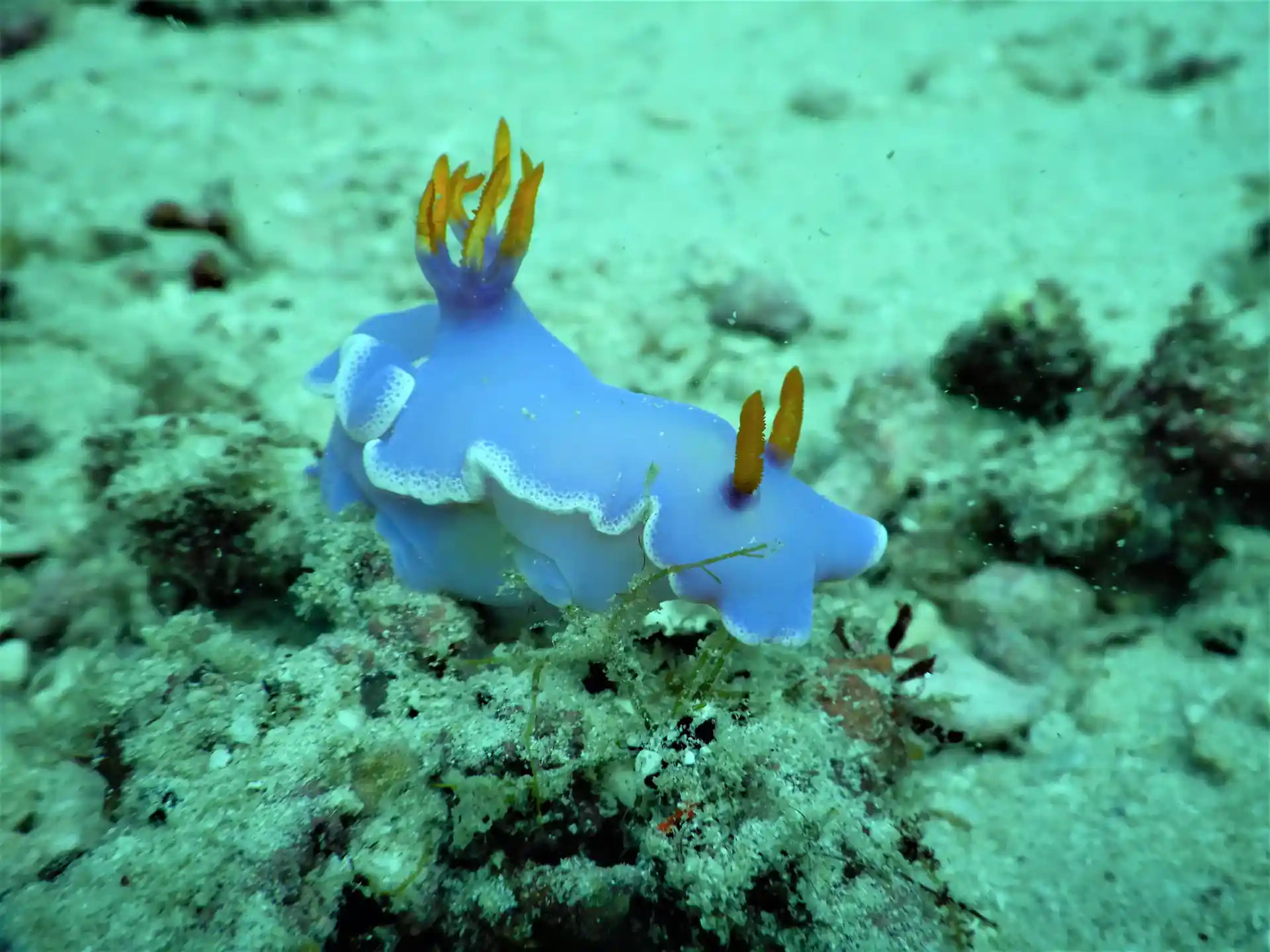 Photo de l'activité