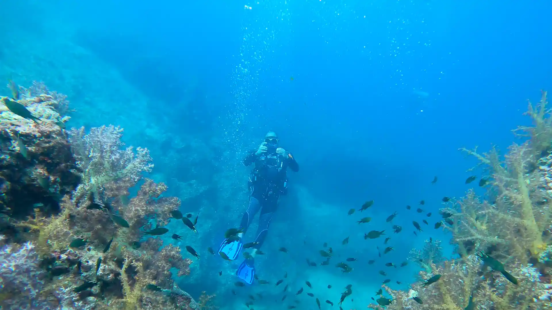 Photo du magasin de plongée