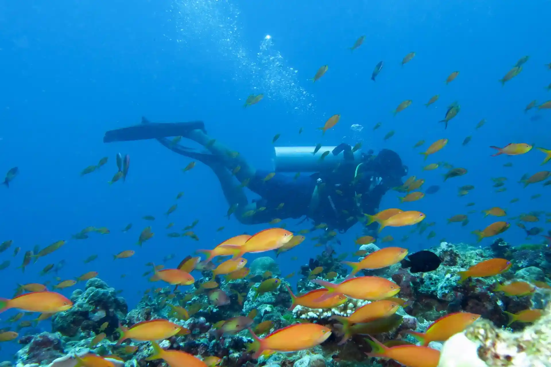 Dive site photo