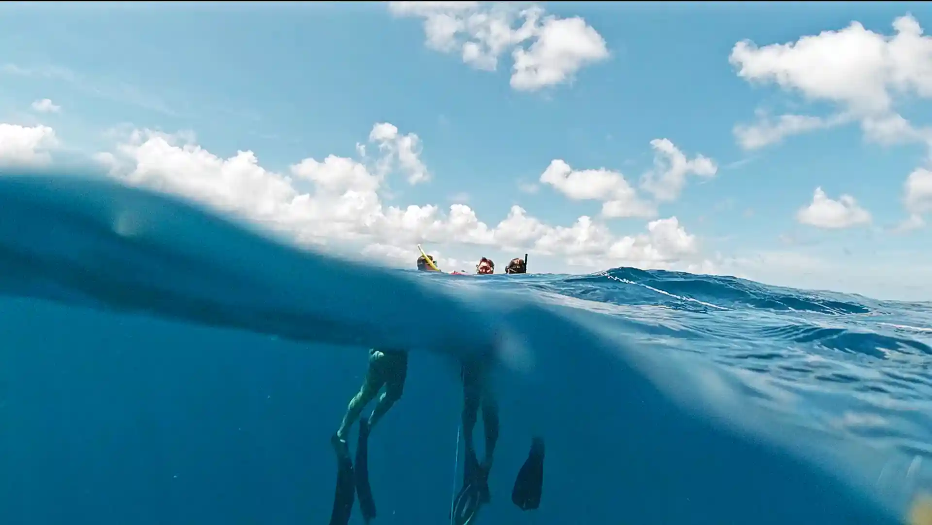 Photo de l'activité