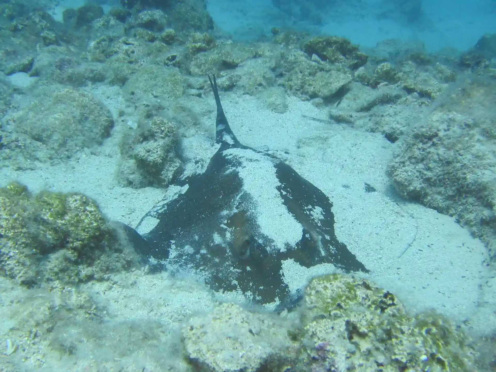 Dive site photo