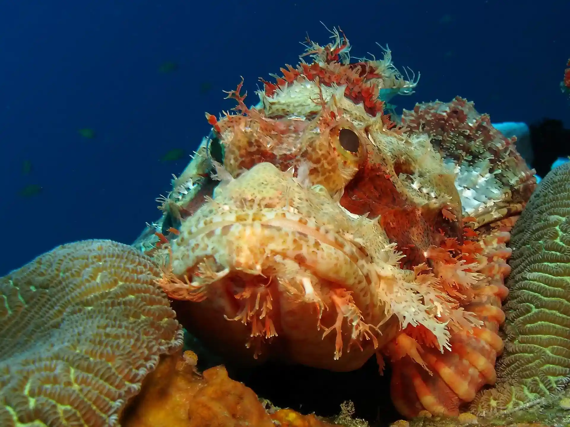 다이빙 포인트 사진