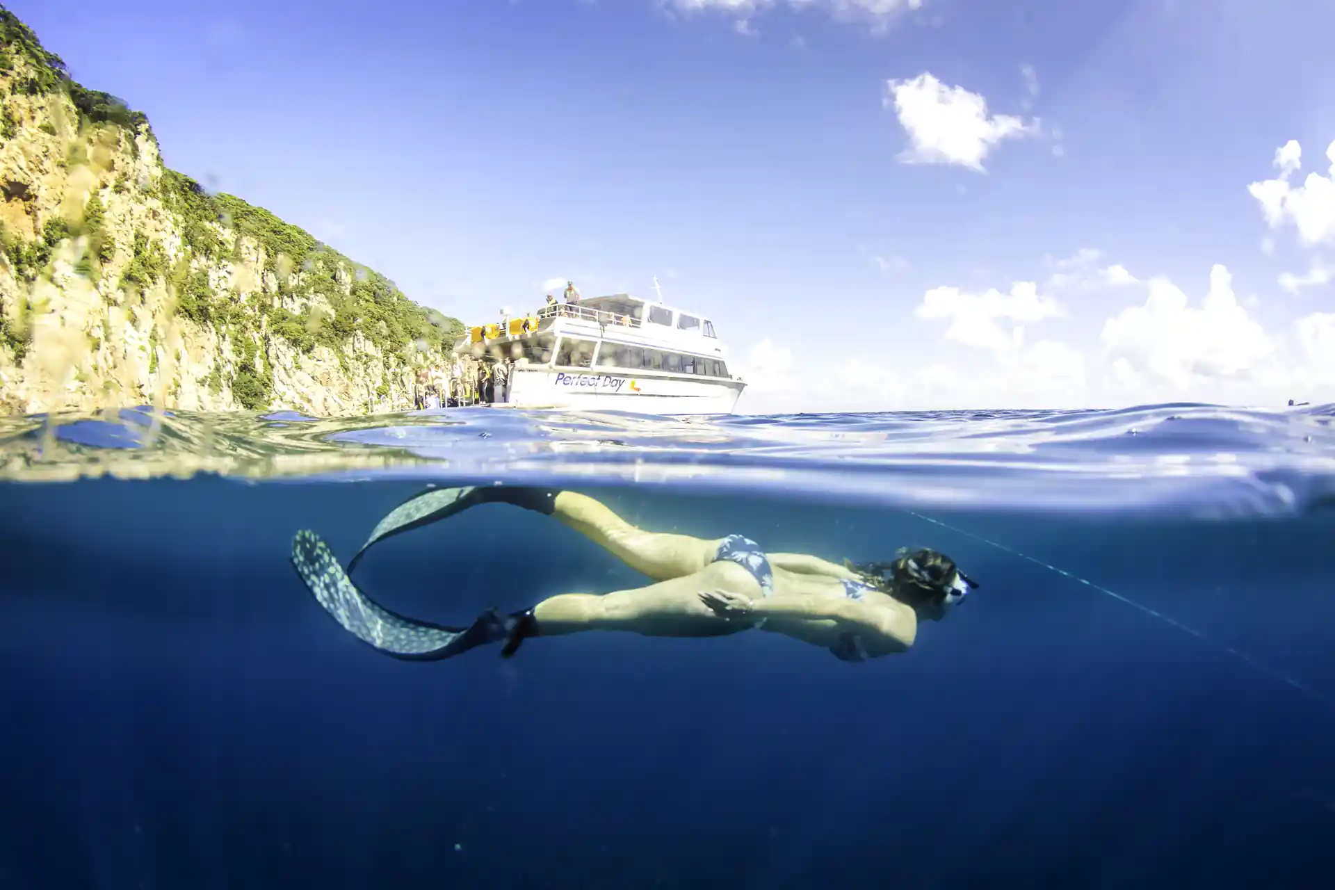Snorkel in the pristine waters of the Poor Knights Islands Marine Reserve