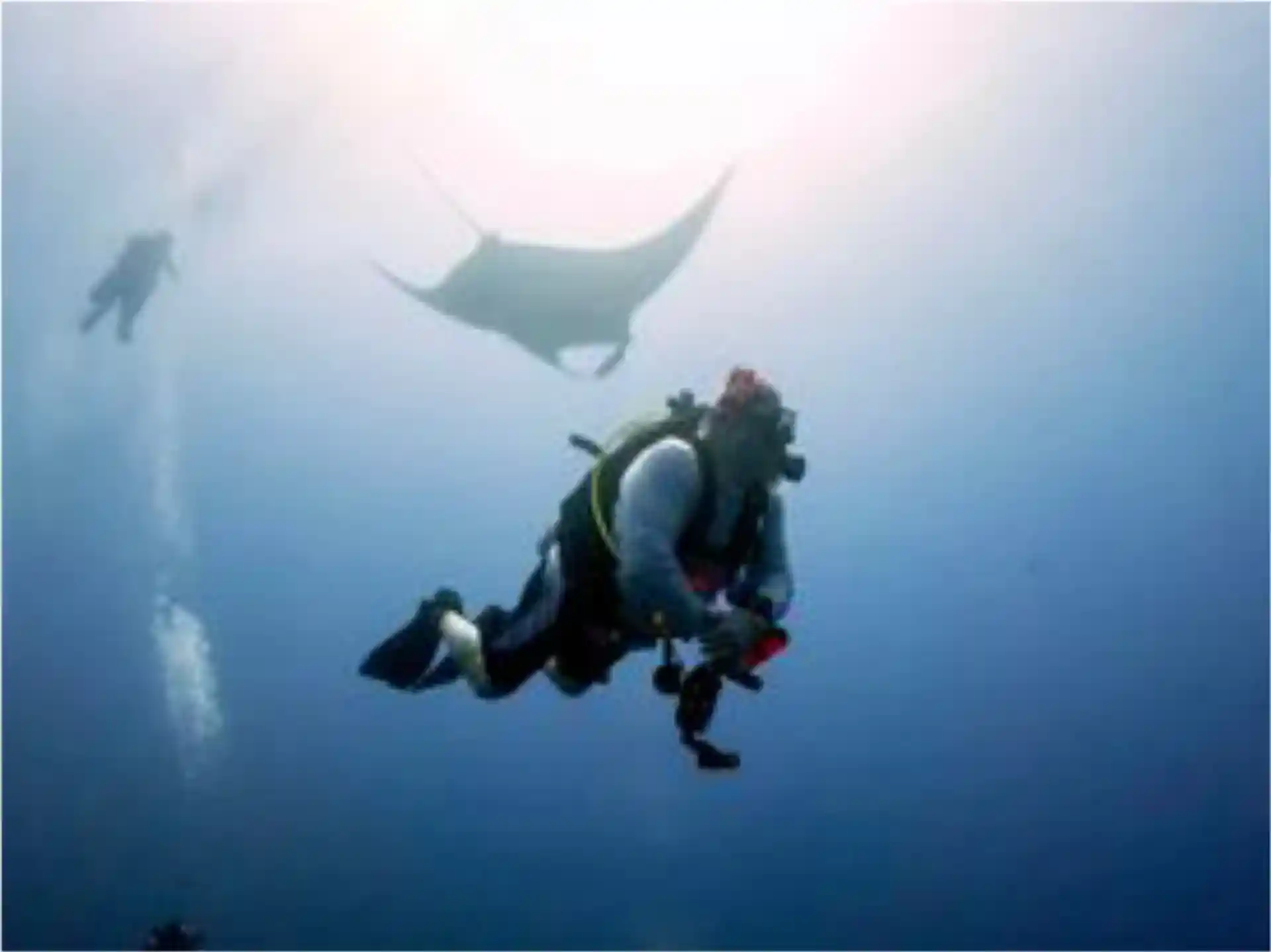 Dive shop photo