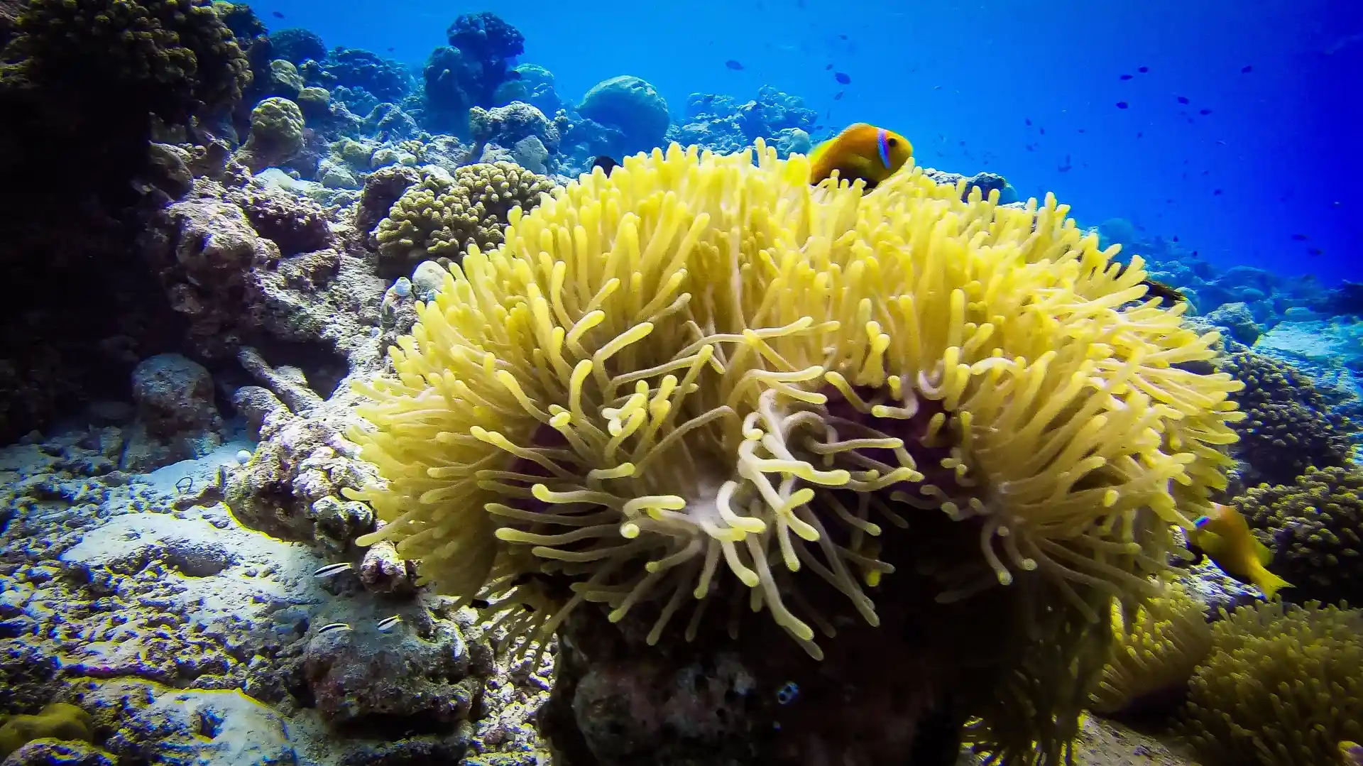 Photo de l'activité