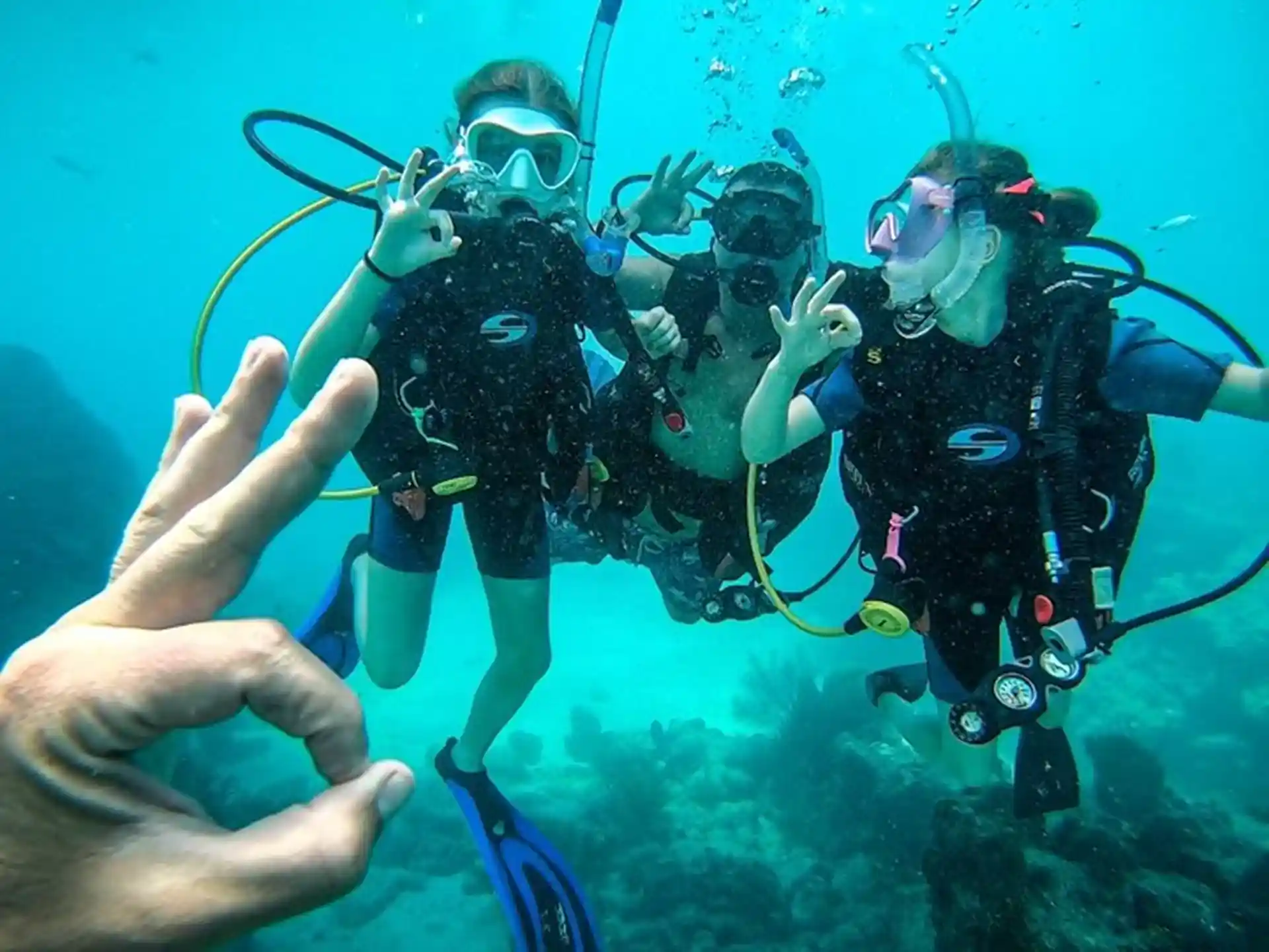 Dive shop photo