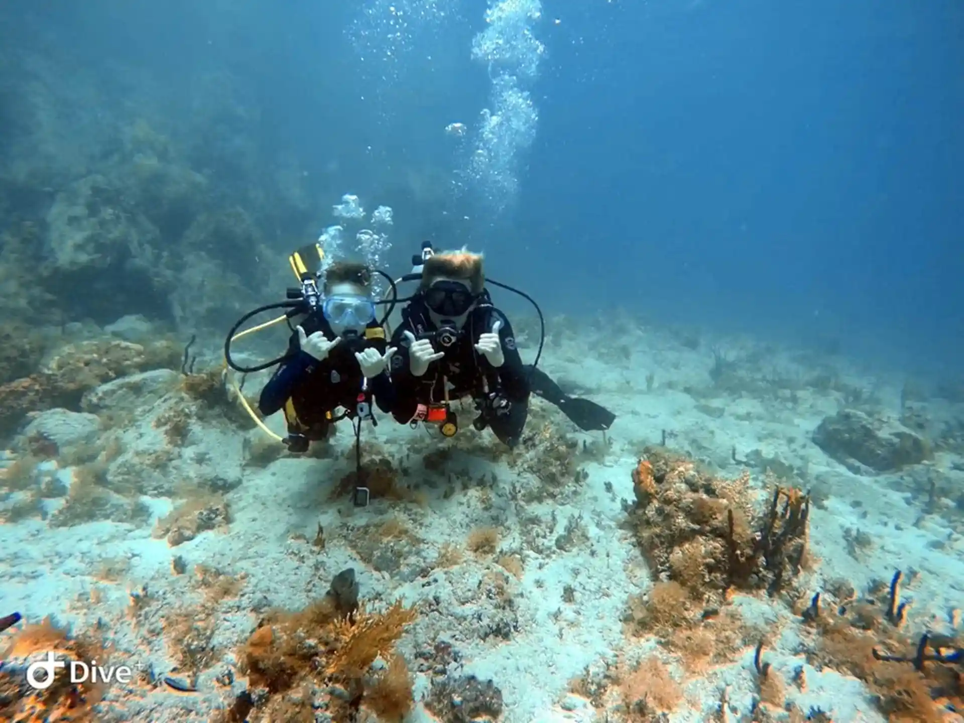 Dive site photo