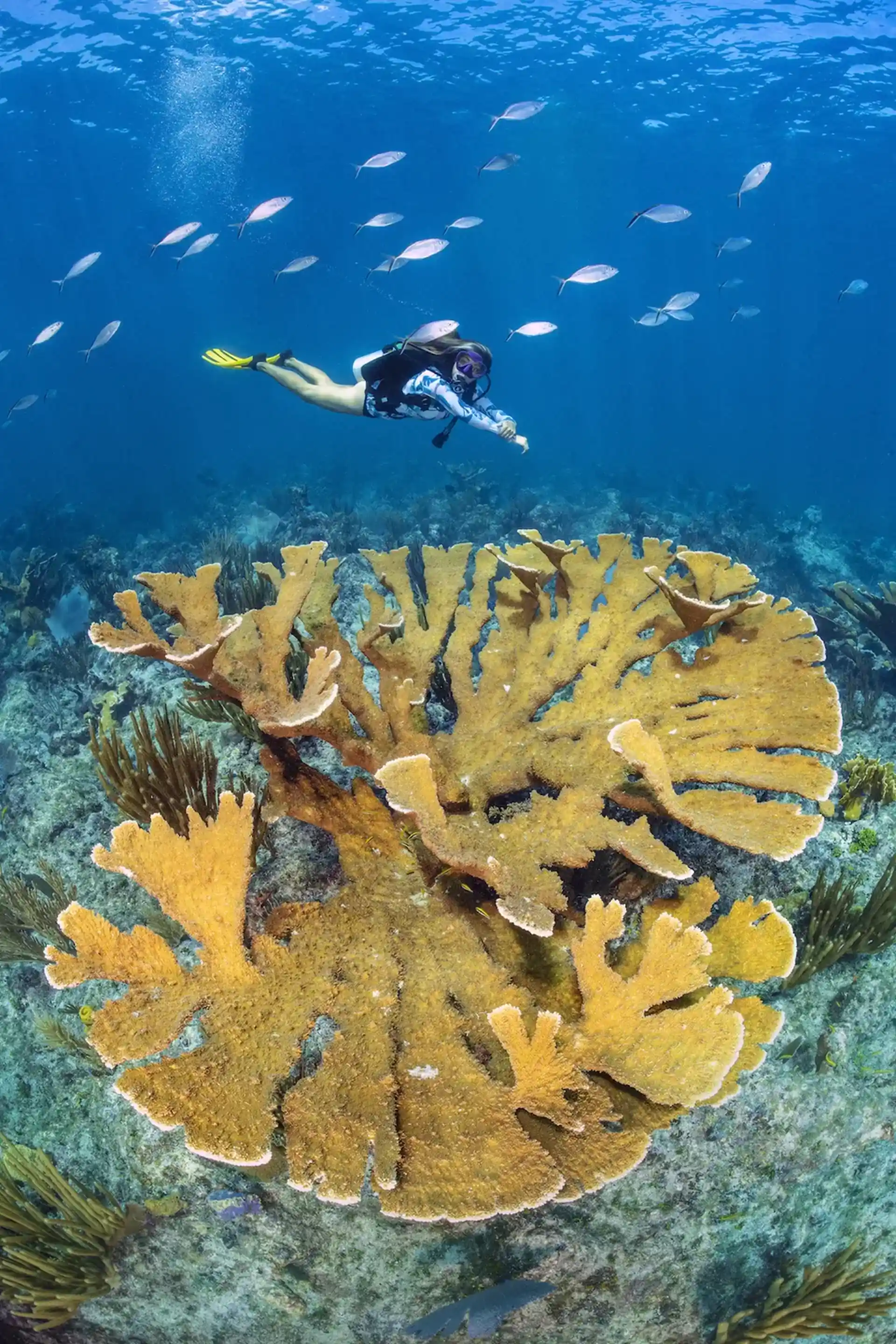 Dive site photo