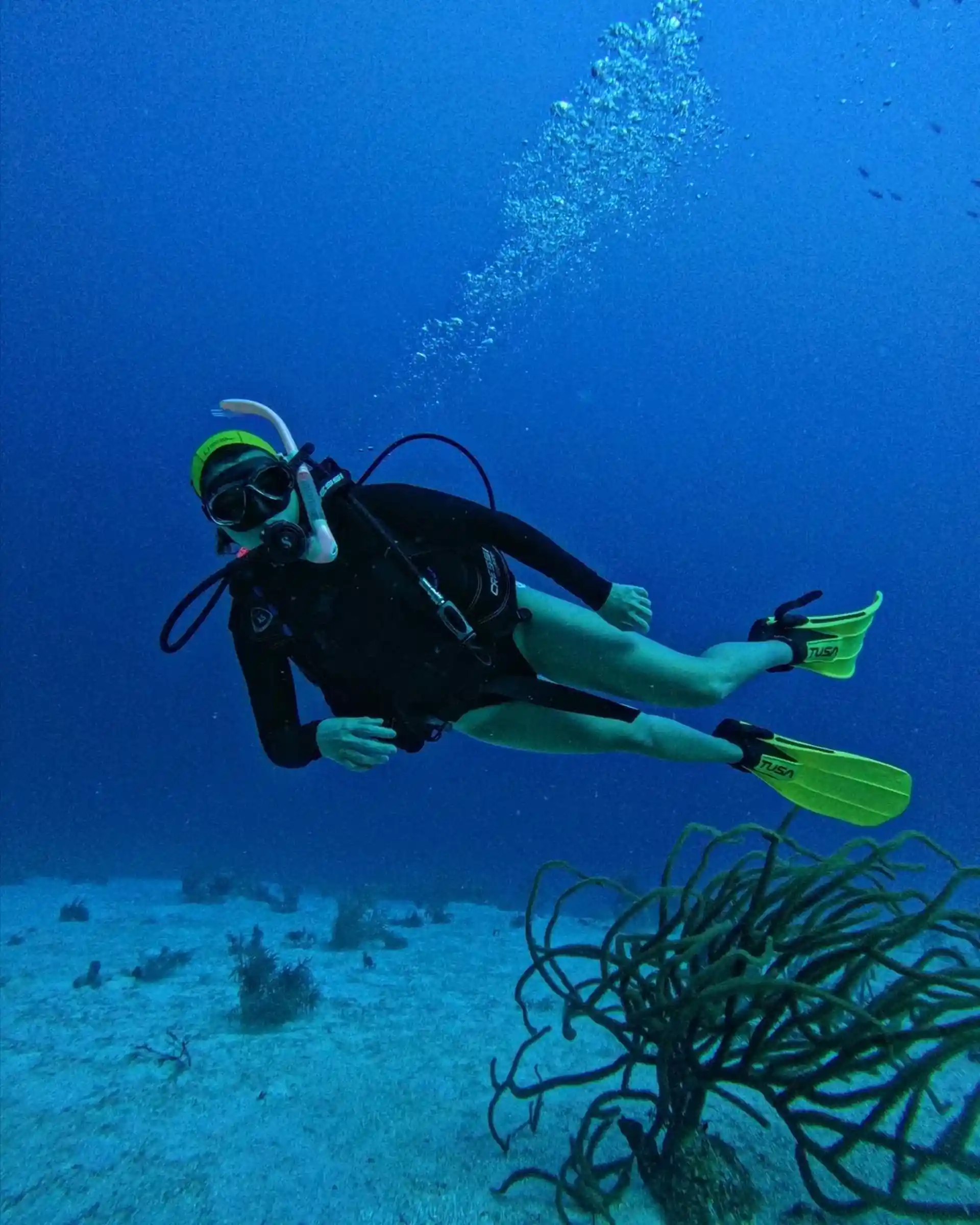 Dive site photo