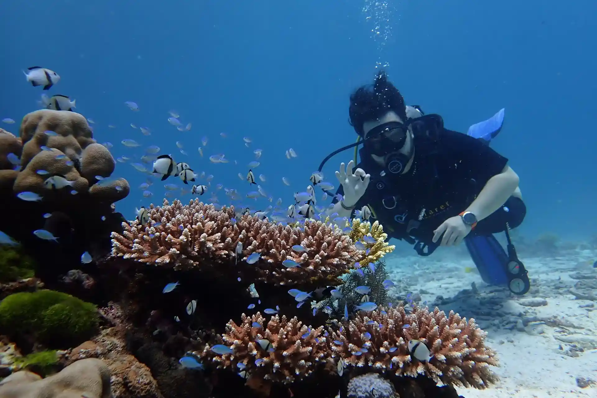 Foto del sitio de buceo