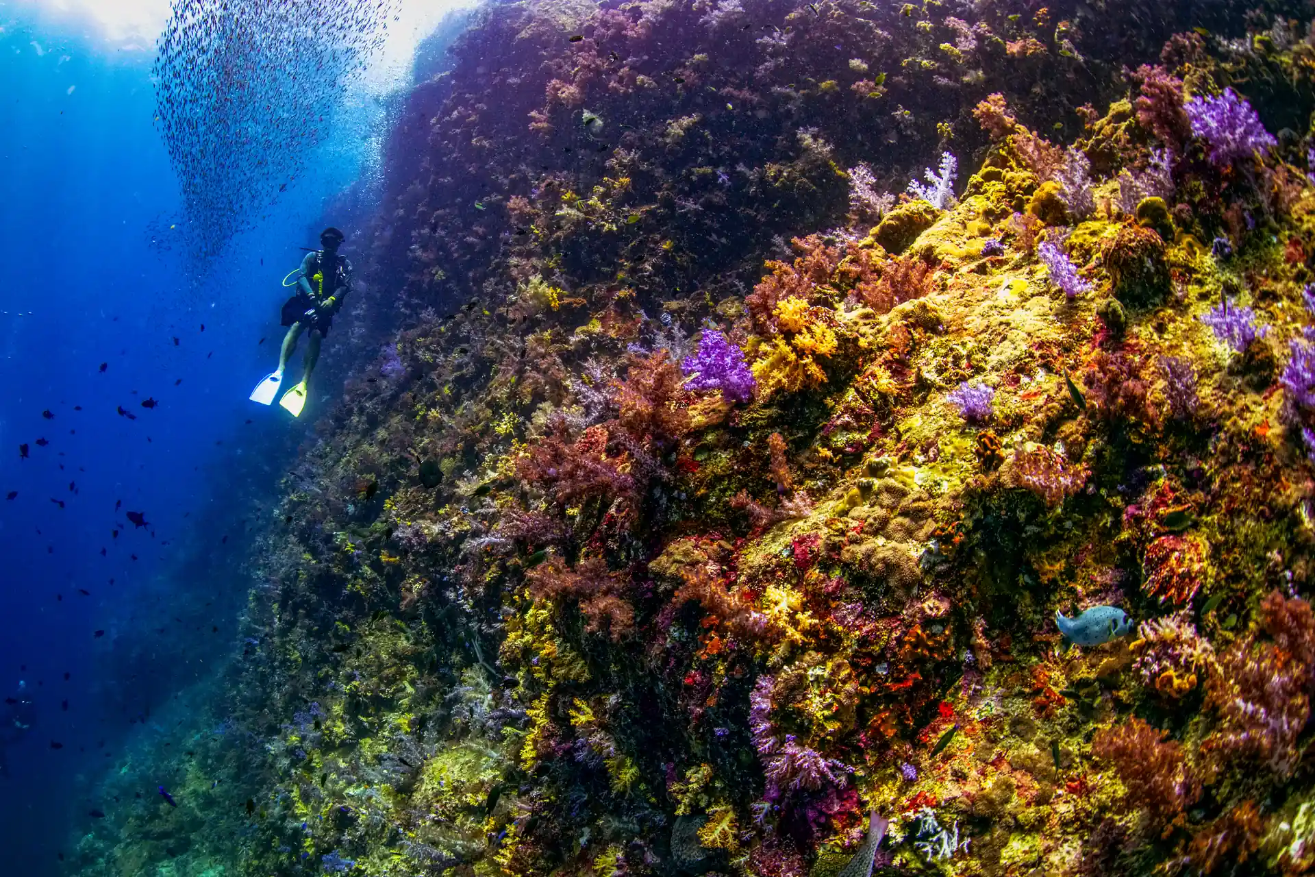 Dive shop photo