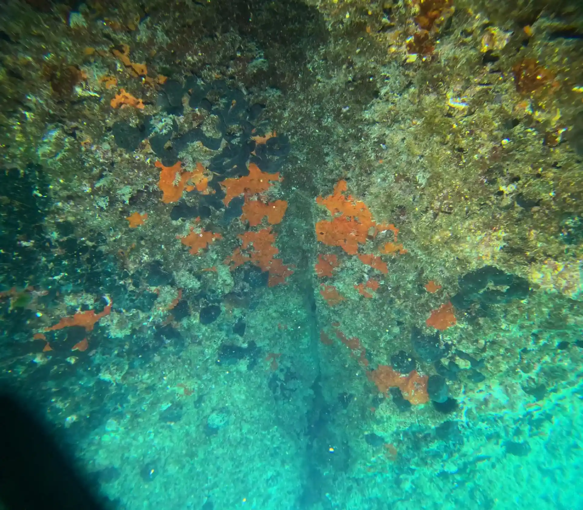 Dive site photo