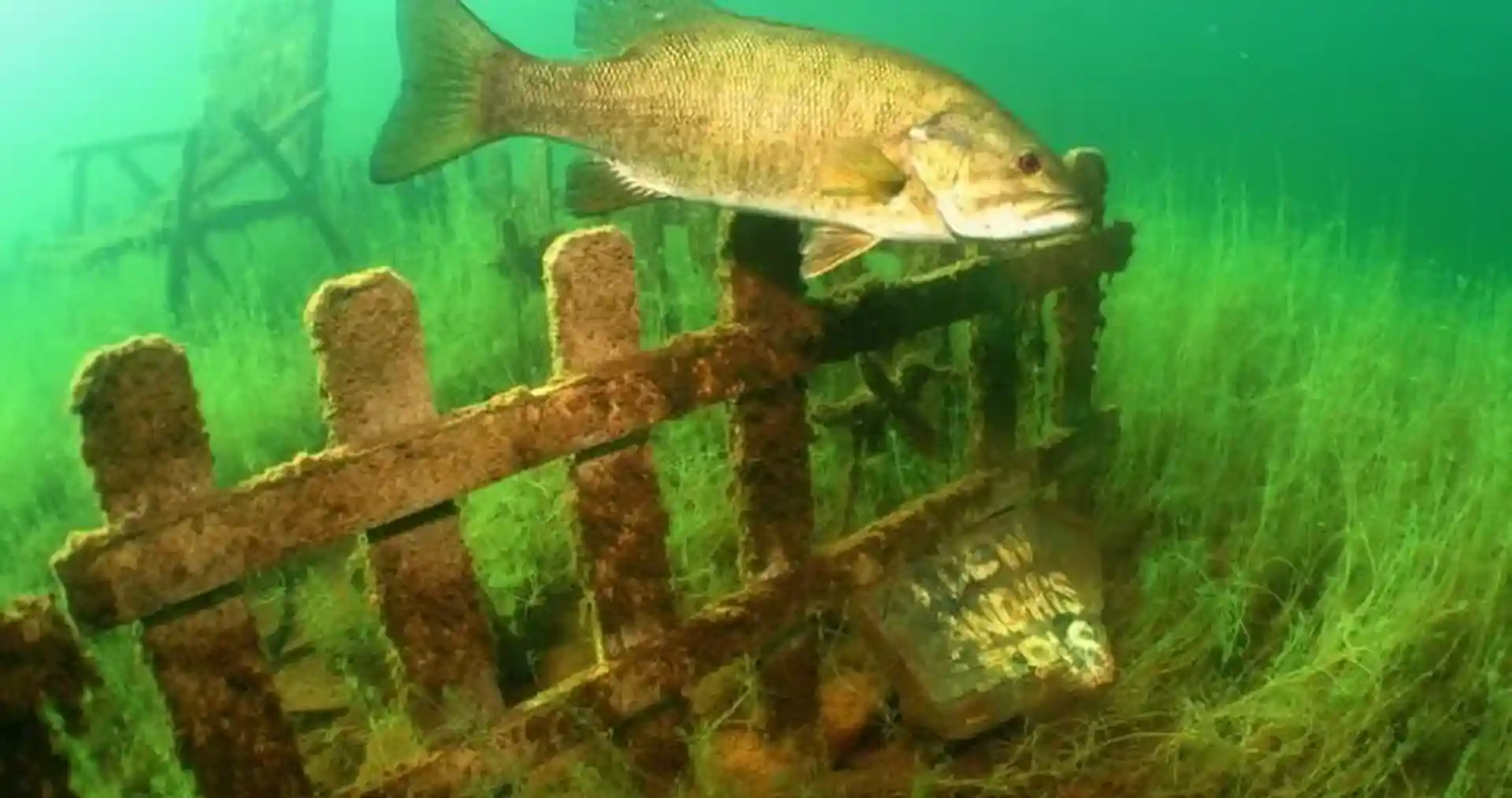 Dive shop photo