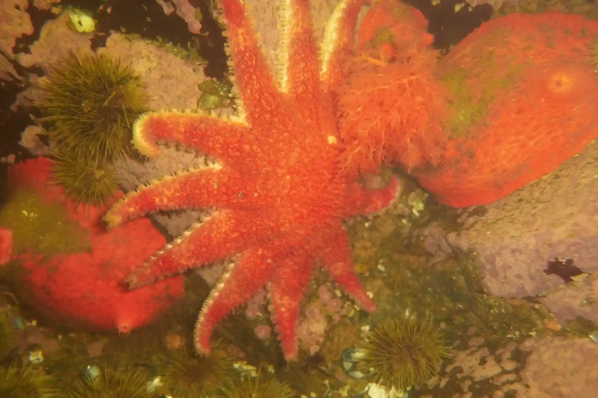 Dive site photo