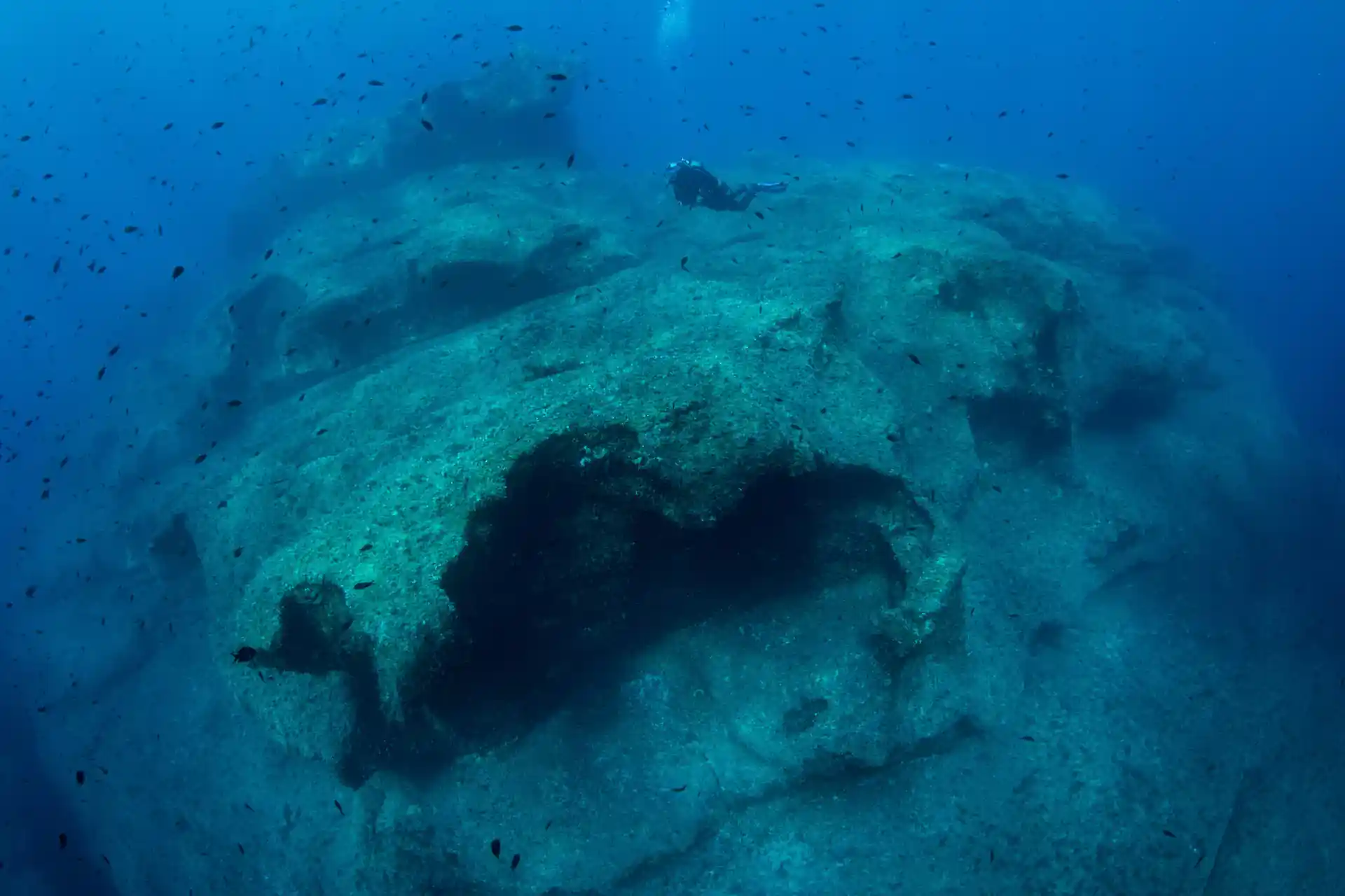 Photo de l'activité